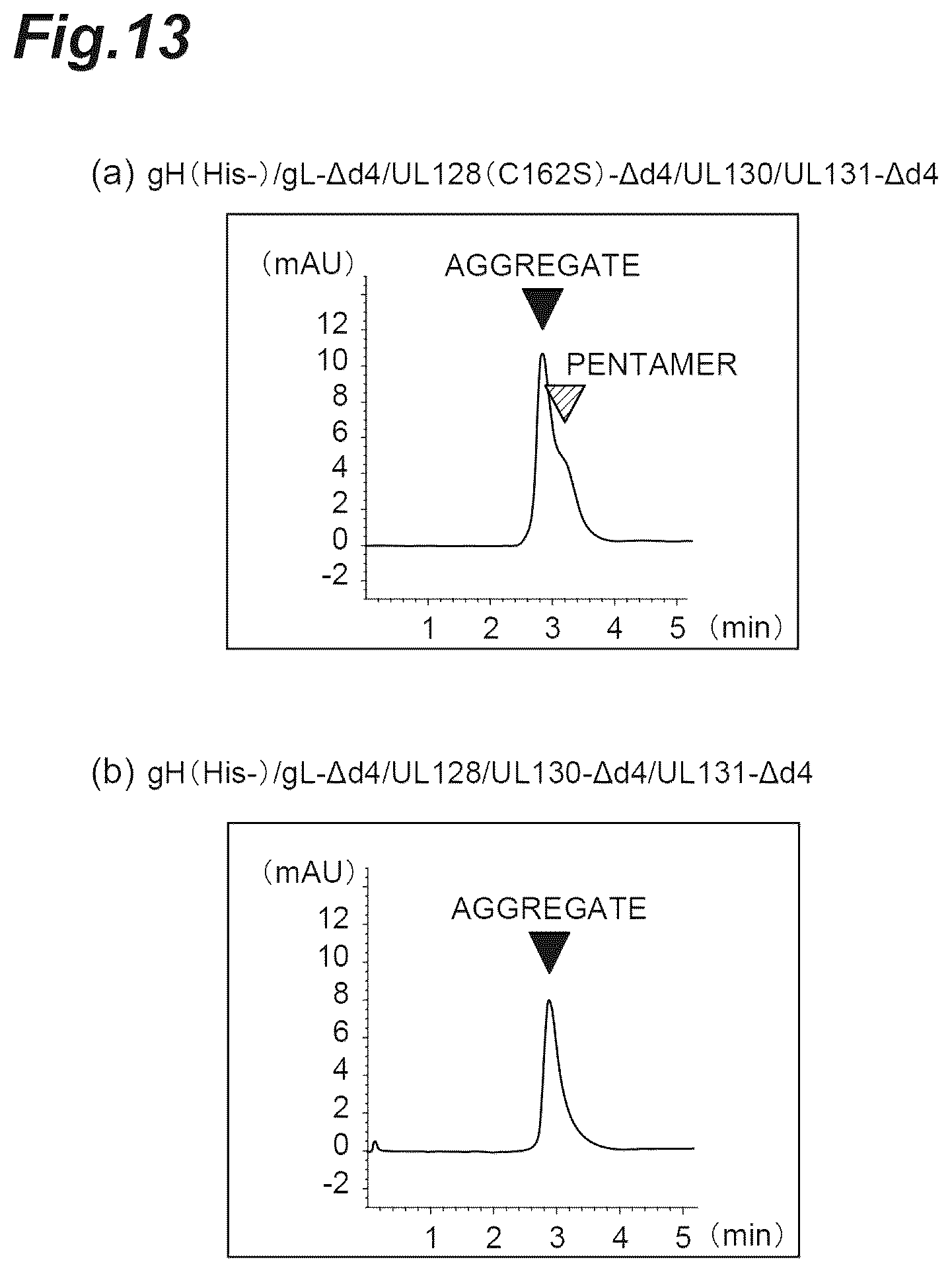 Patent US12569552 Figure 13 – Fusion protein of pentamer and gB of cytomegalovirus, and vaccine containing said fusion protein
