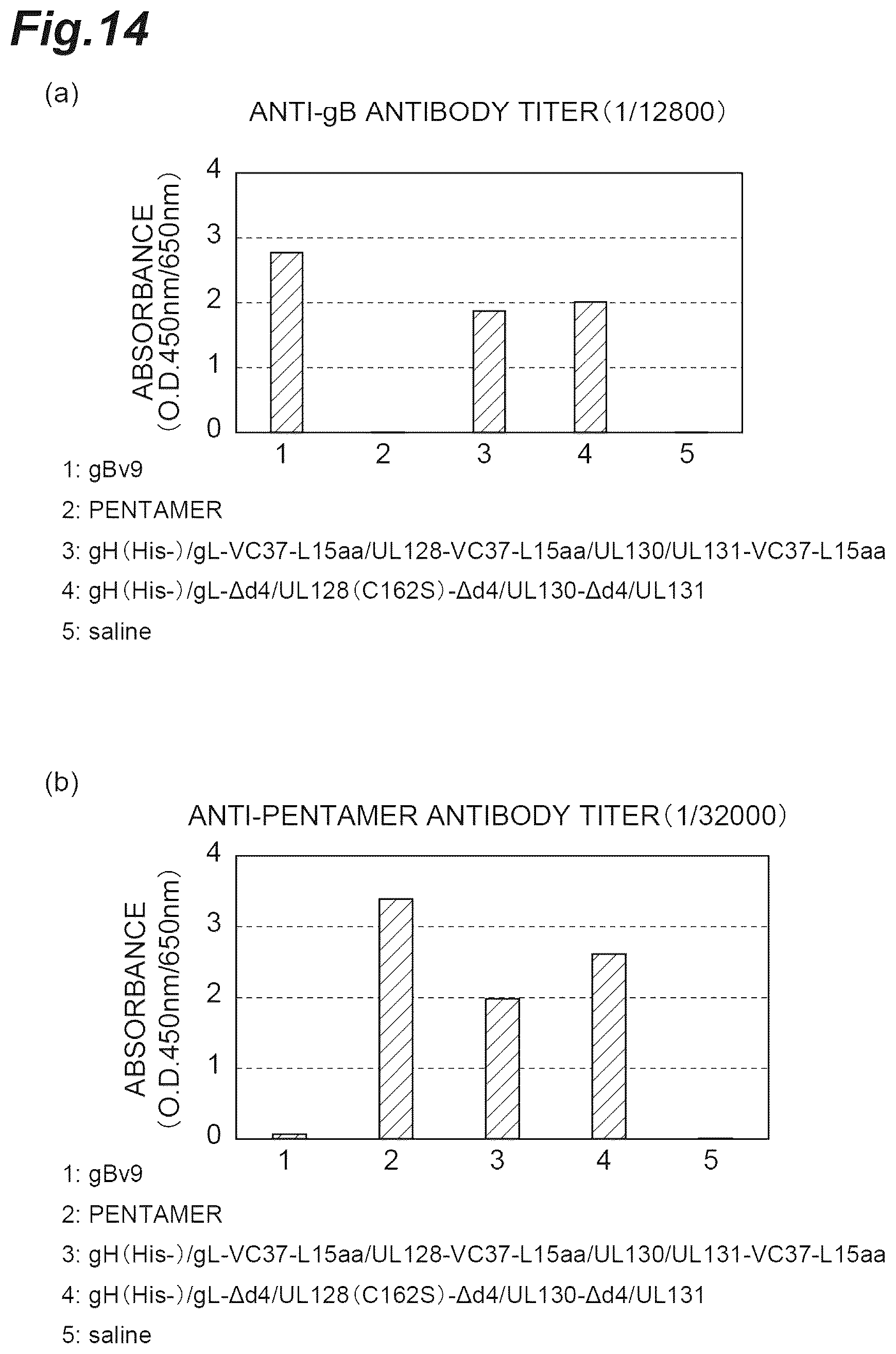 Patent US12569552 Figure 14 – Fusion protein of pentamer and gB of cytomegalovirus, and vaccine containing said fusion protein
