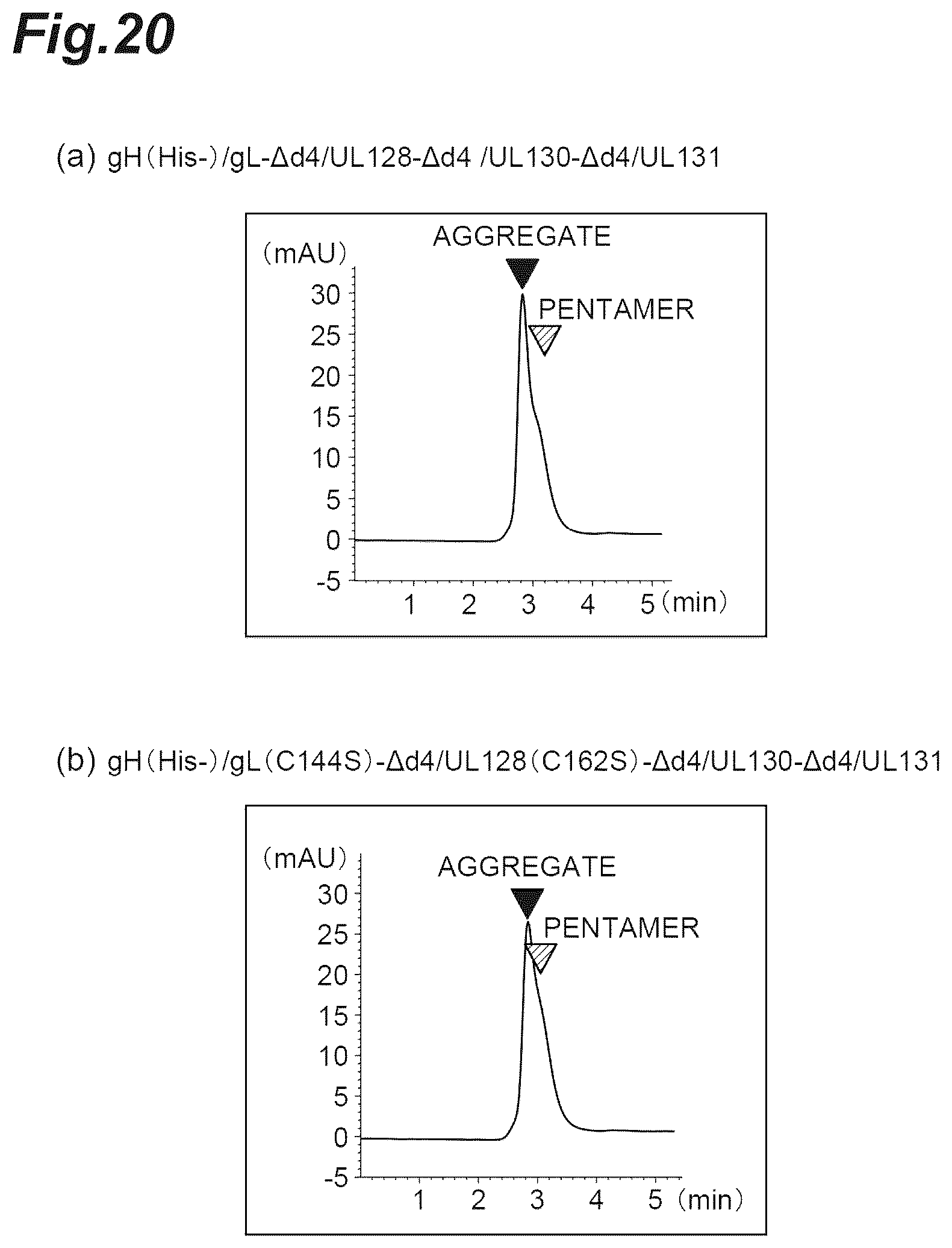 Patent US12569552 Figure 20 – Fusion protein of pentamer and gB of cytomegalovirus, and vaccine containing said fusion protein