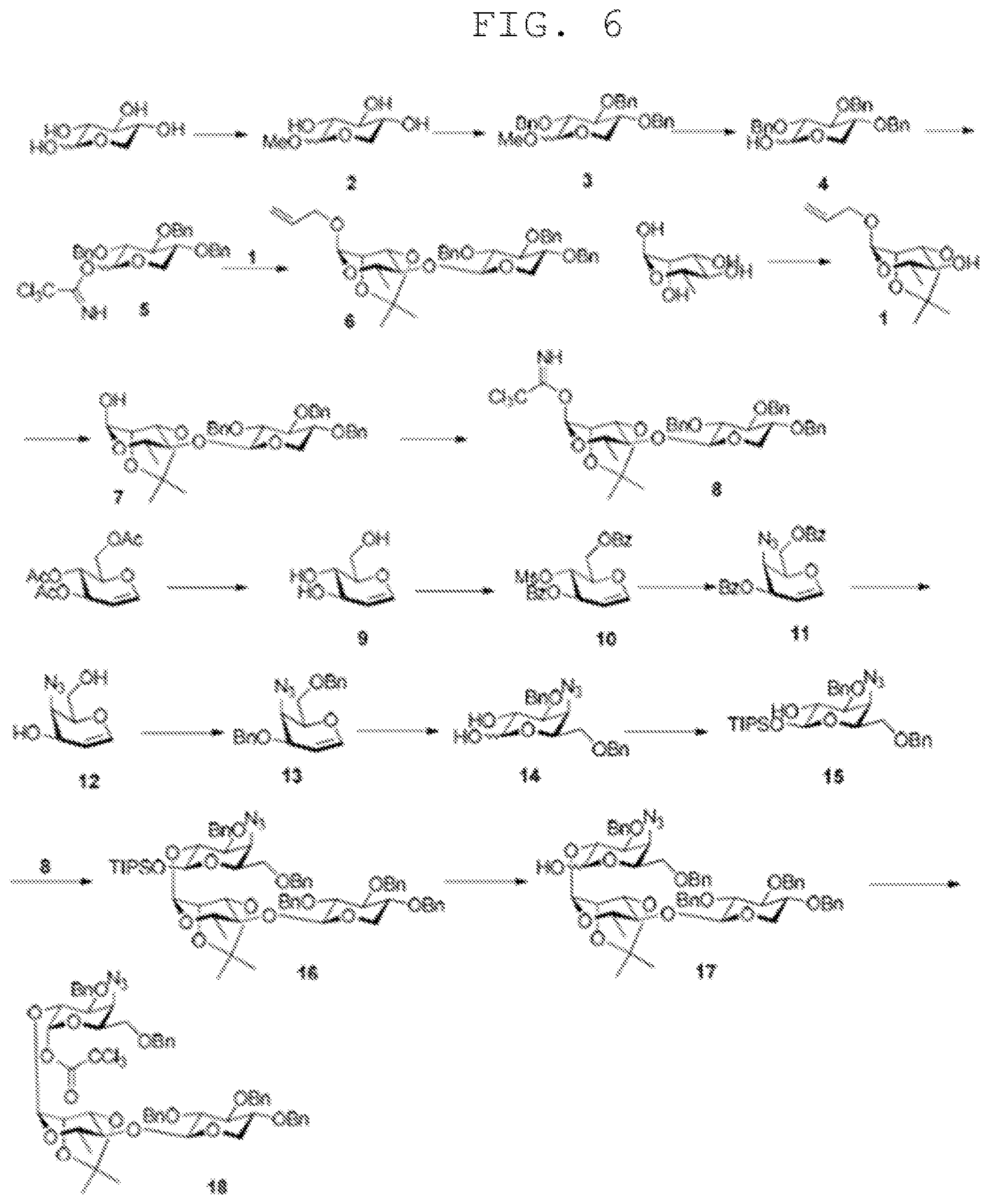 Patent US12569554 Figure 6 – Triterpene saponin analogues