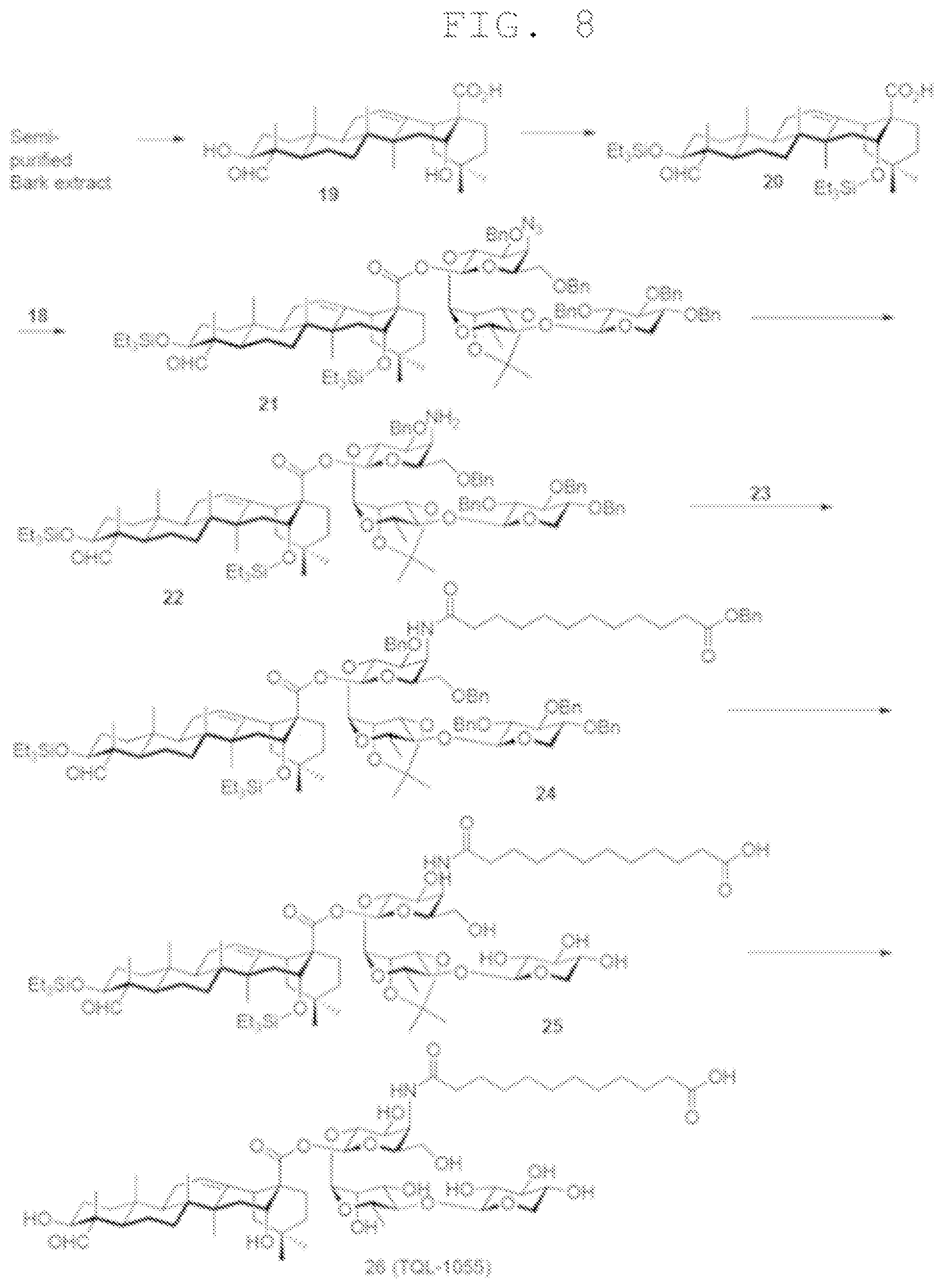 Patent US12569554 Figure 8 – Triterpene saponin analogues