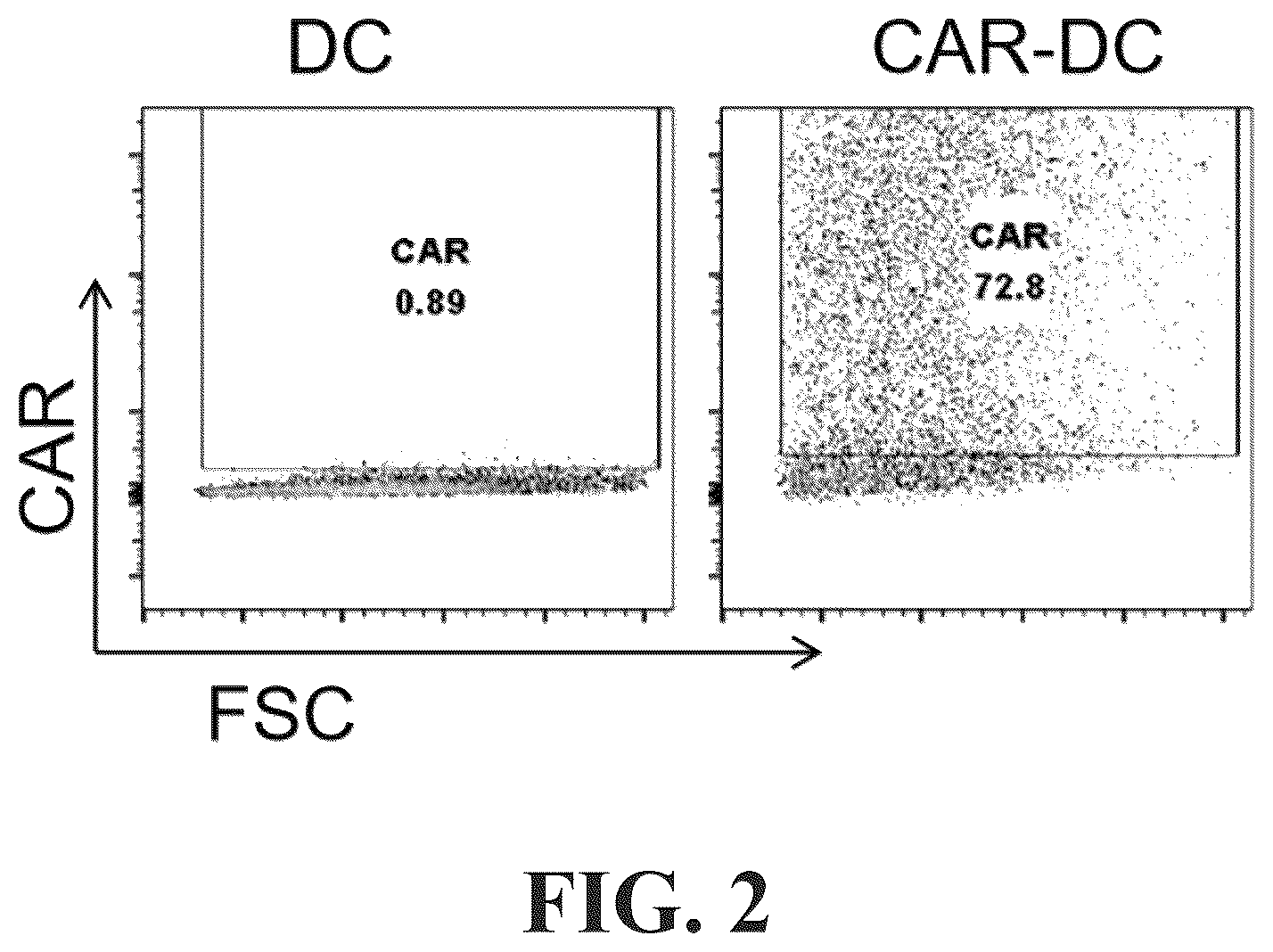 Patent US12569559 Figure 2 – Engineered dendritic cell and use thereof