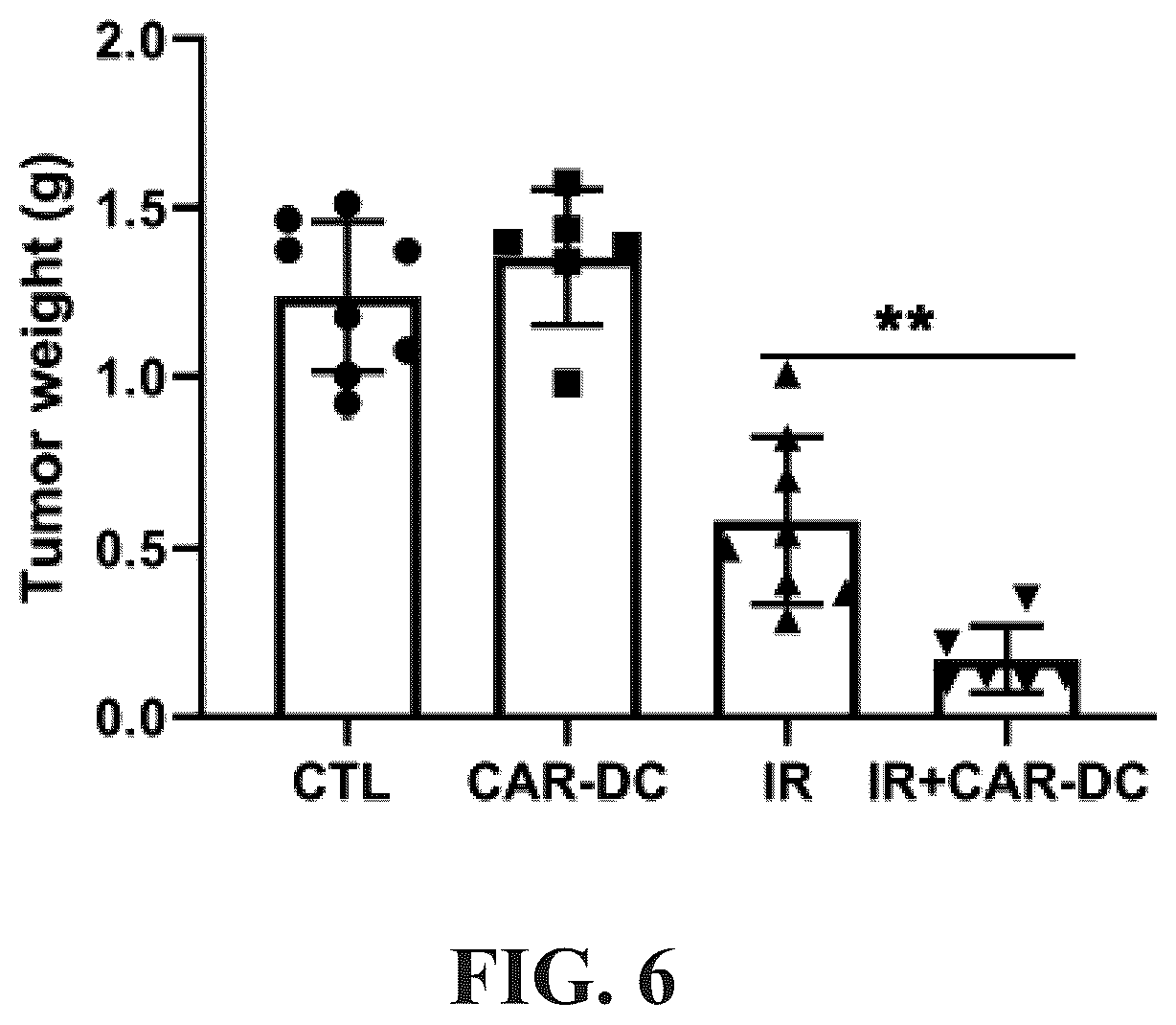 Patent US12569559 Figure 6 – Engineered dendritic cell and use thereof