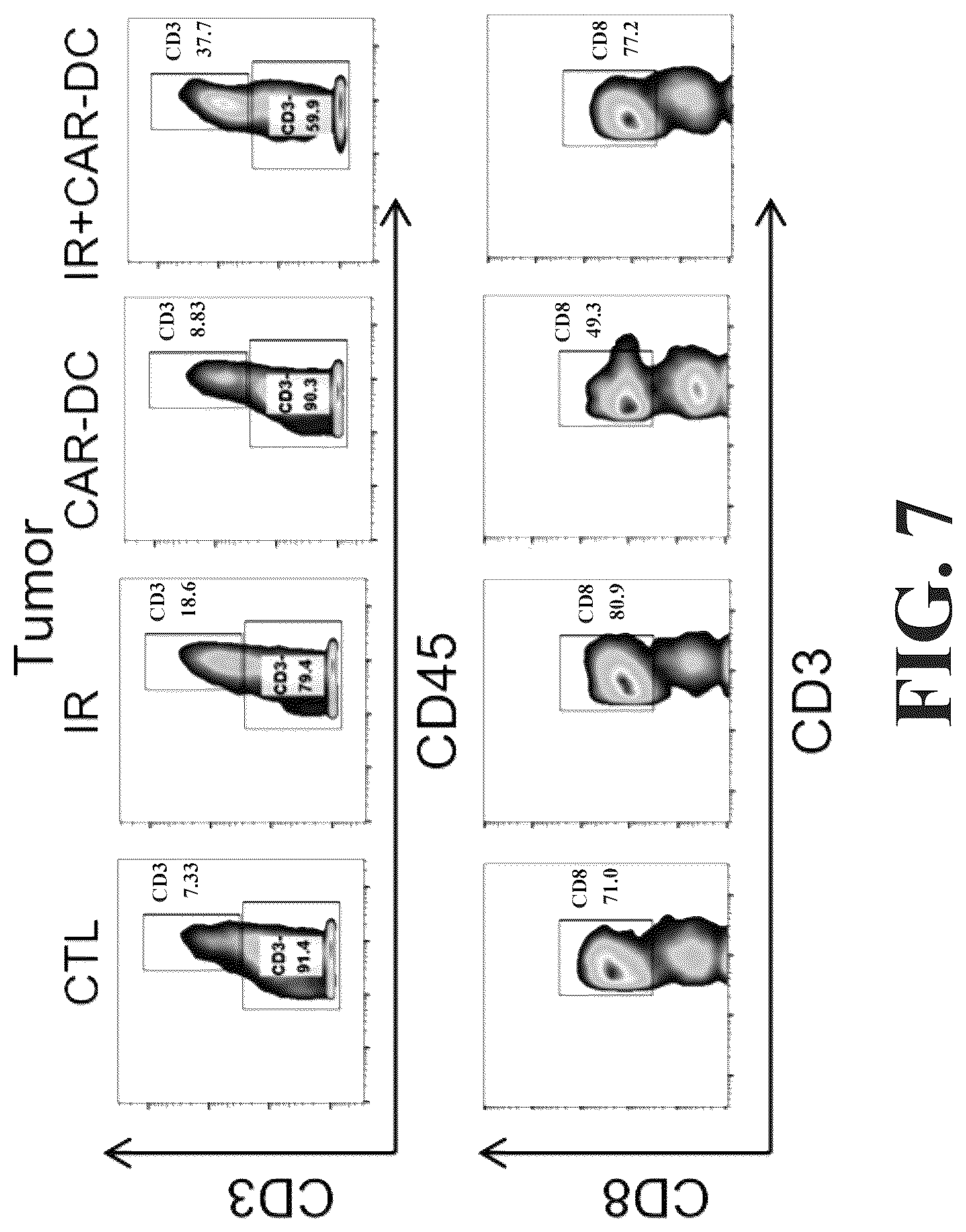 Patent US12569559 Figure 7 – Engineered dendritic cell and use thereof