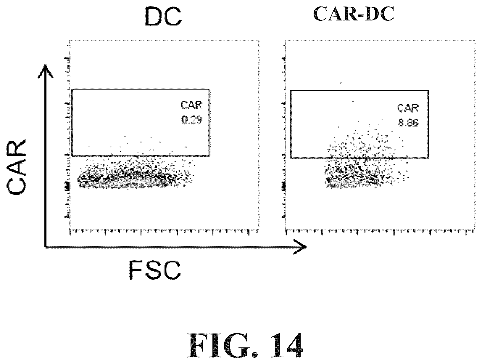 Patent US12569559 Figure 15 – Engineered dendritic cell and use thereof