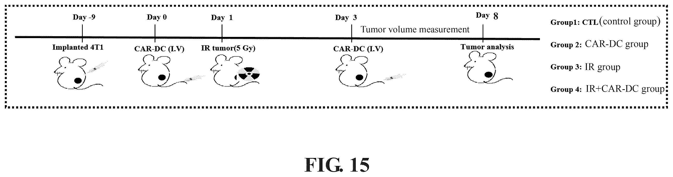 Patent US12569559 Figure 16 – Engineered dendritic cell and use thereof