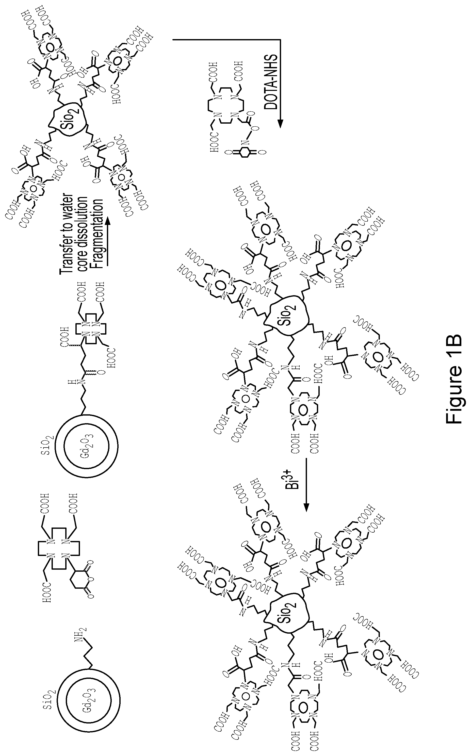 Patent US12569560 Figure 2 – Bismuth-gadolinium nanoparticles
