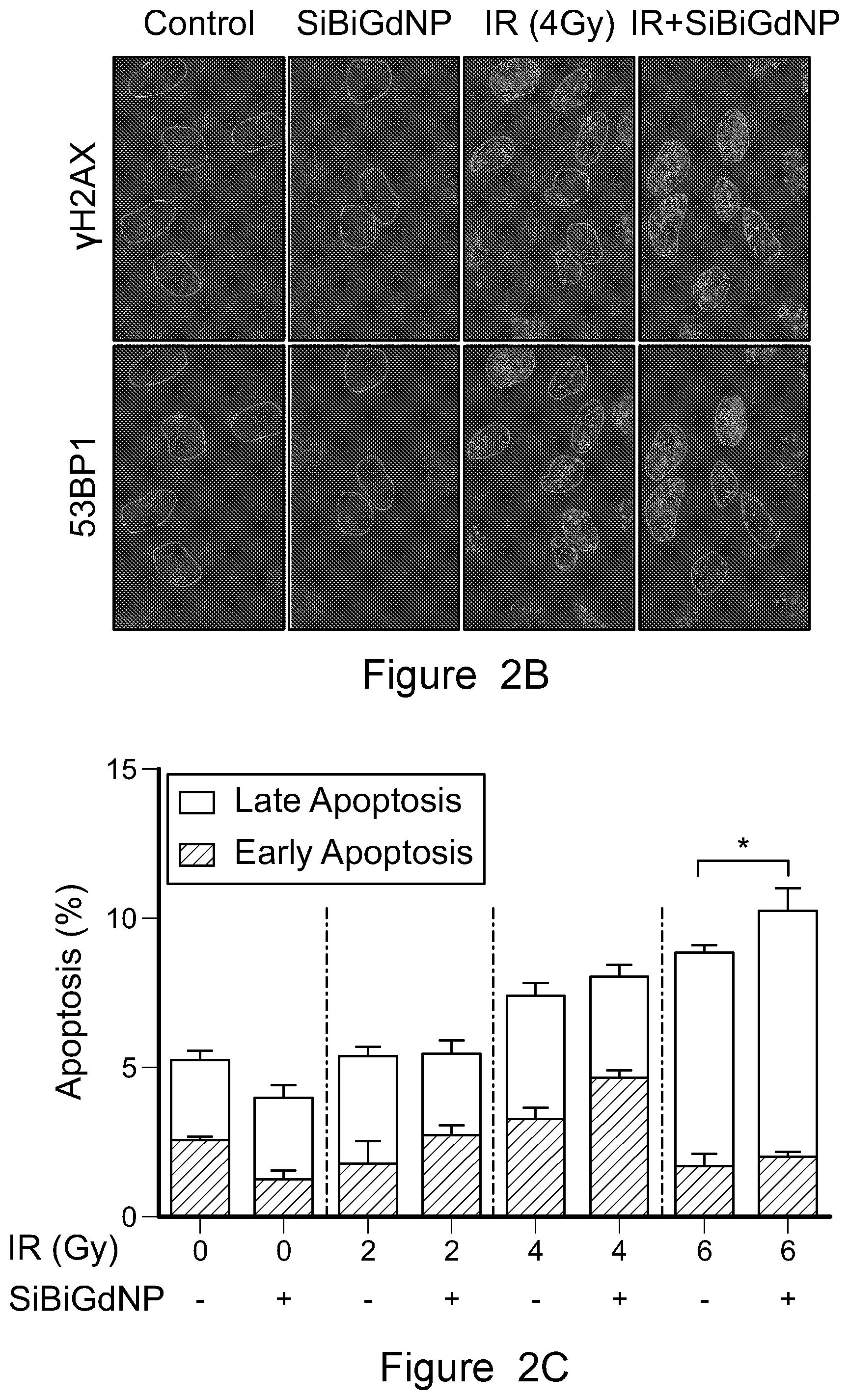 Patent US12569560 Figure 6 – Bismuth-gadolinium nanoparticles