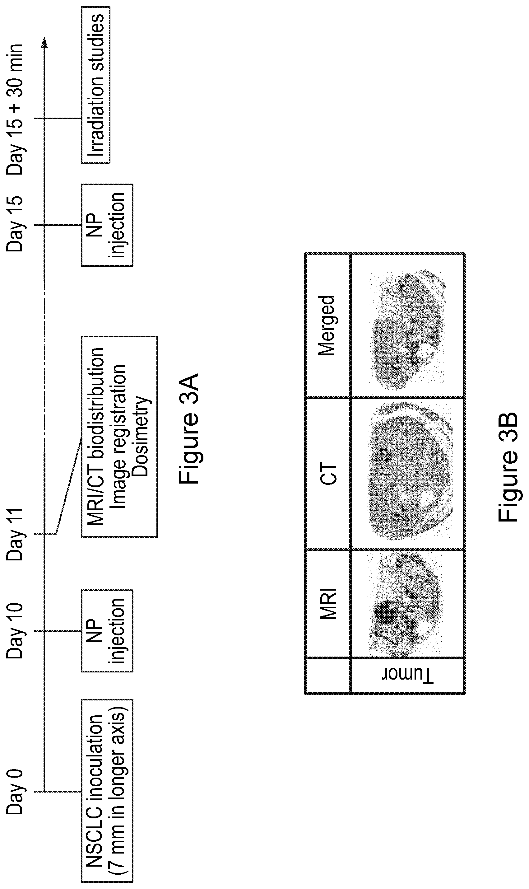 Patent US12569560 Figure 8 – Bismuth-gadolinium nanoparticles