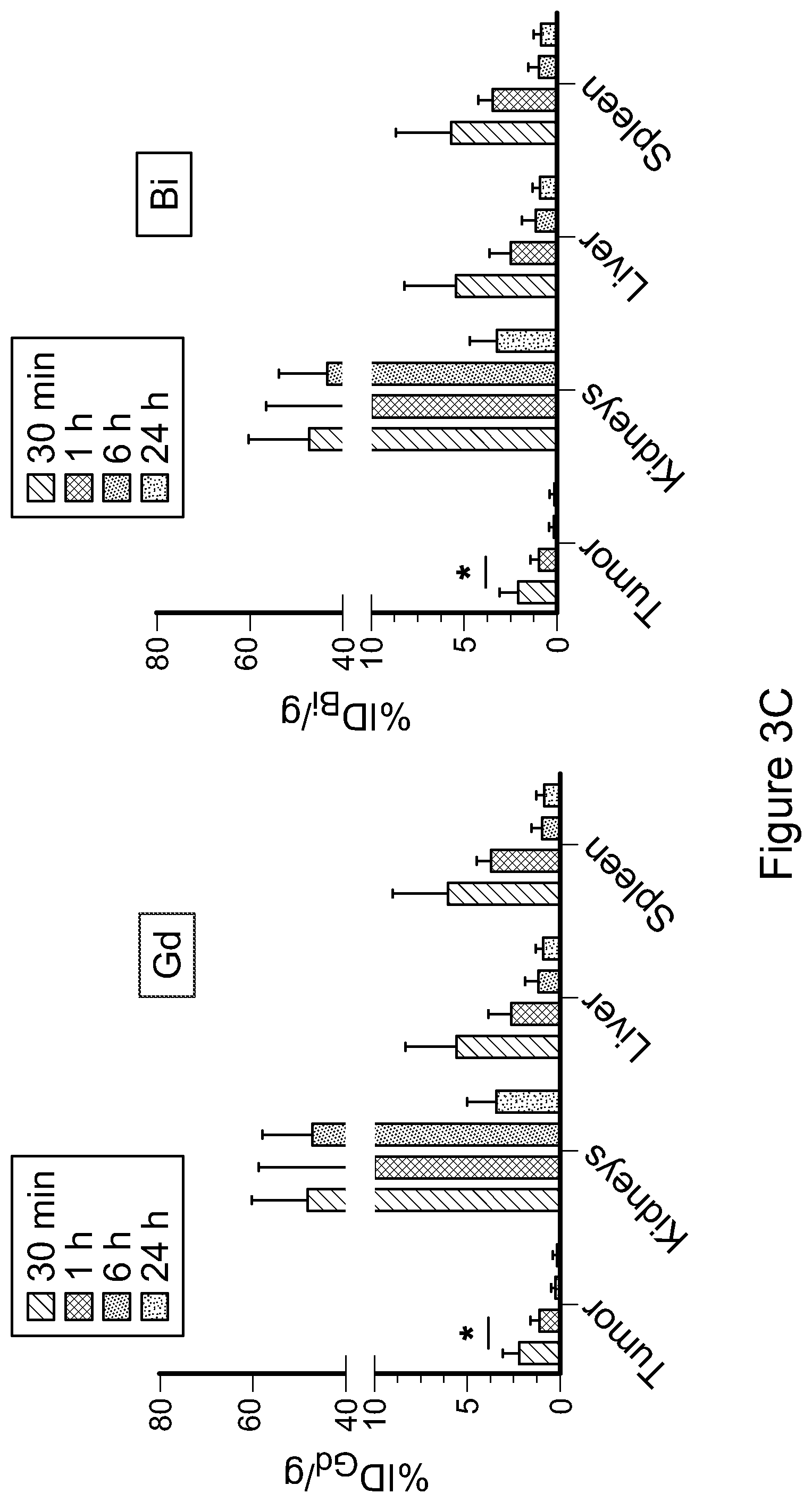 Patent US12569560 Figure 9 – Bismuth-gadolinium nanoparticles