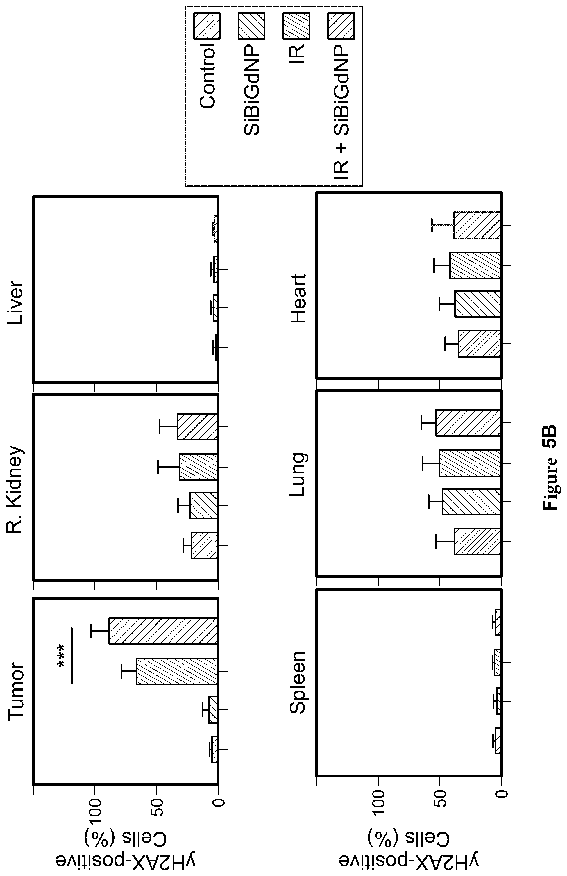 Patent US12569560 Figure 13 – Bismuth-gadolinium nanoparticles