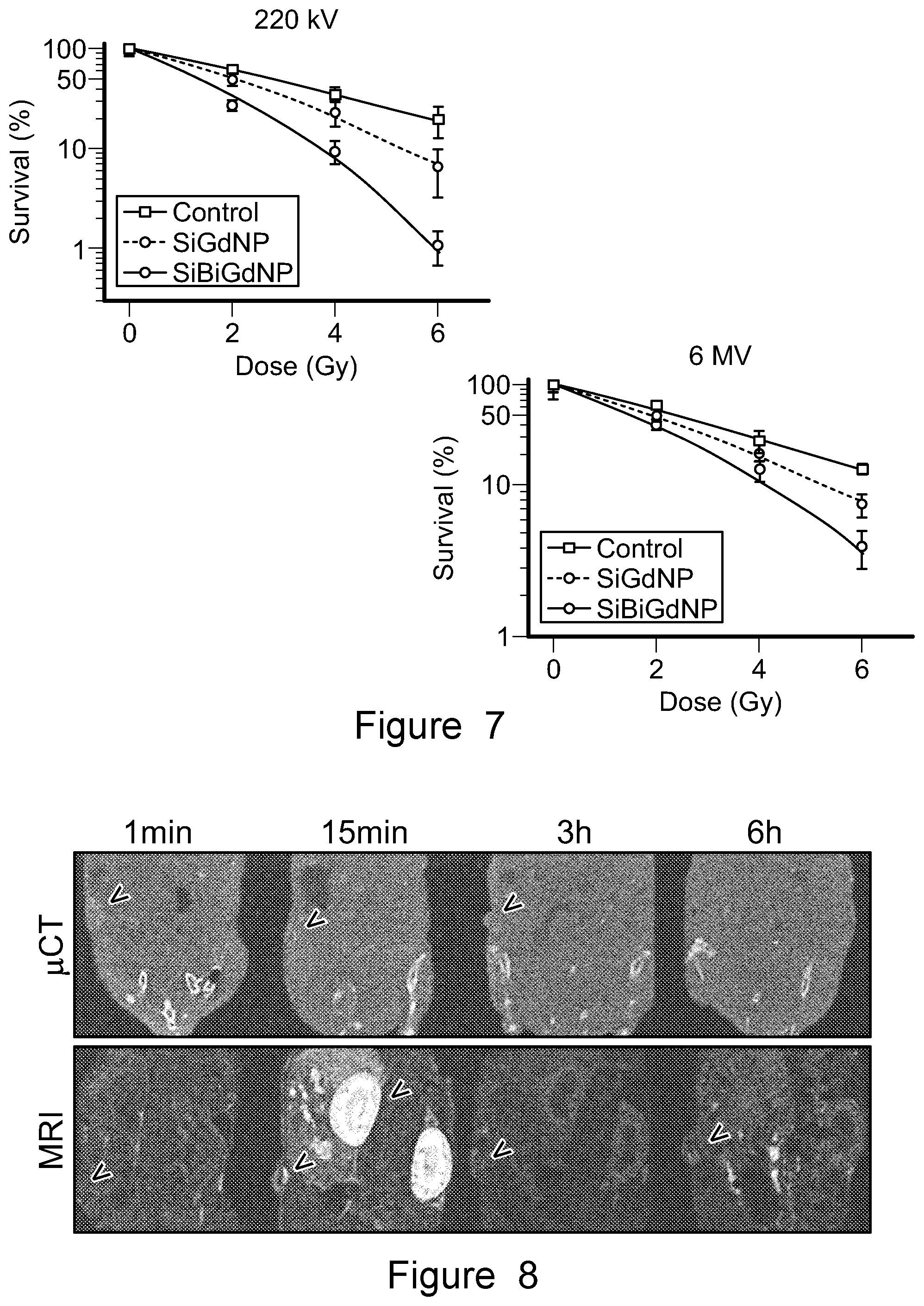 Patent US12569560 Figure 15 – Bismuth-gadolinium nanoparticles