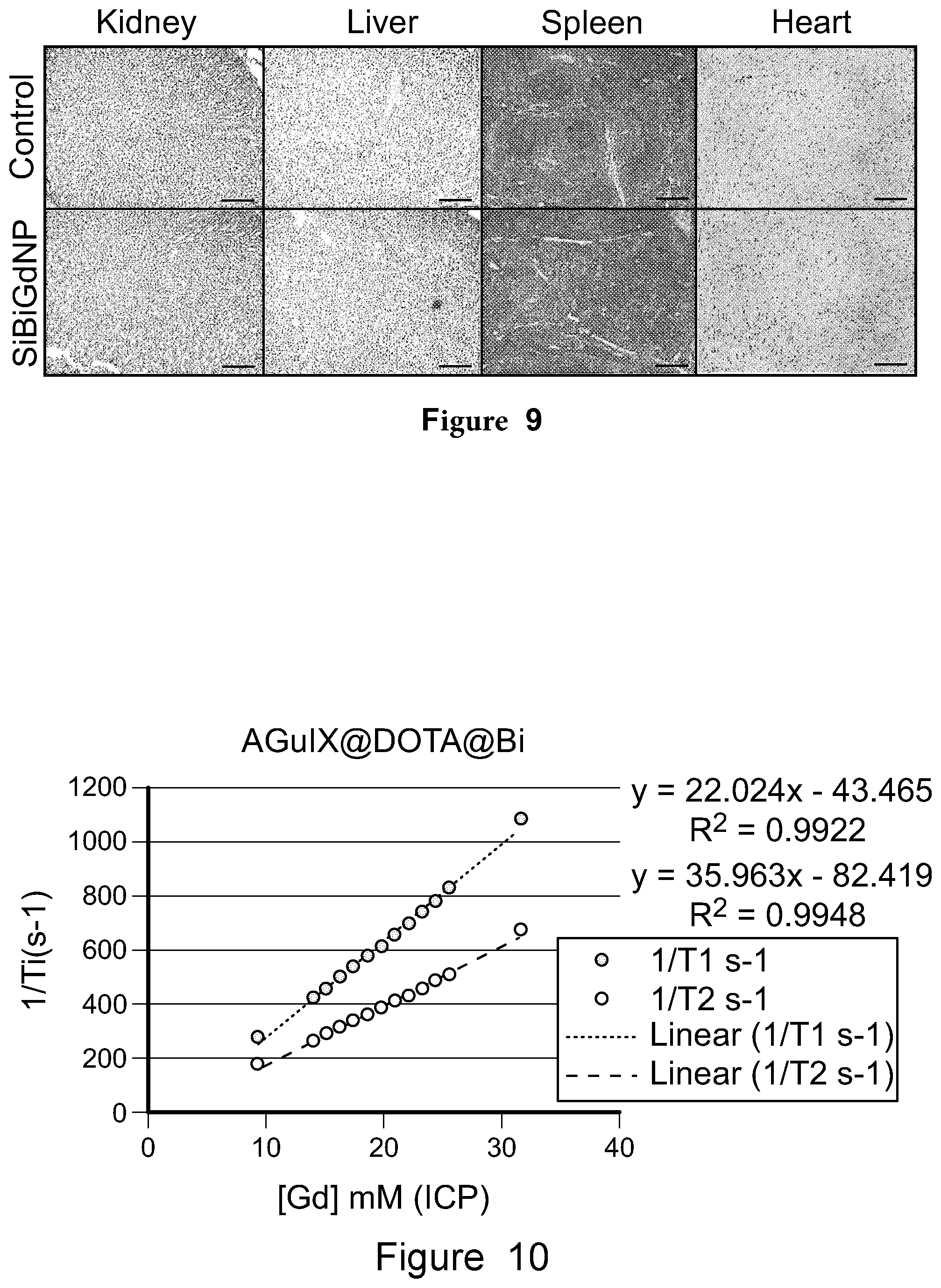 Patent US12569560 Figure 16 – Bismuth-gadolinium nanoparticles