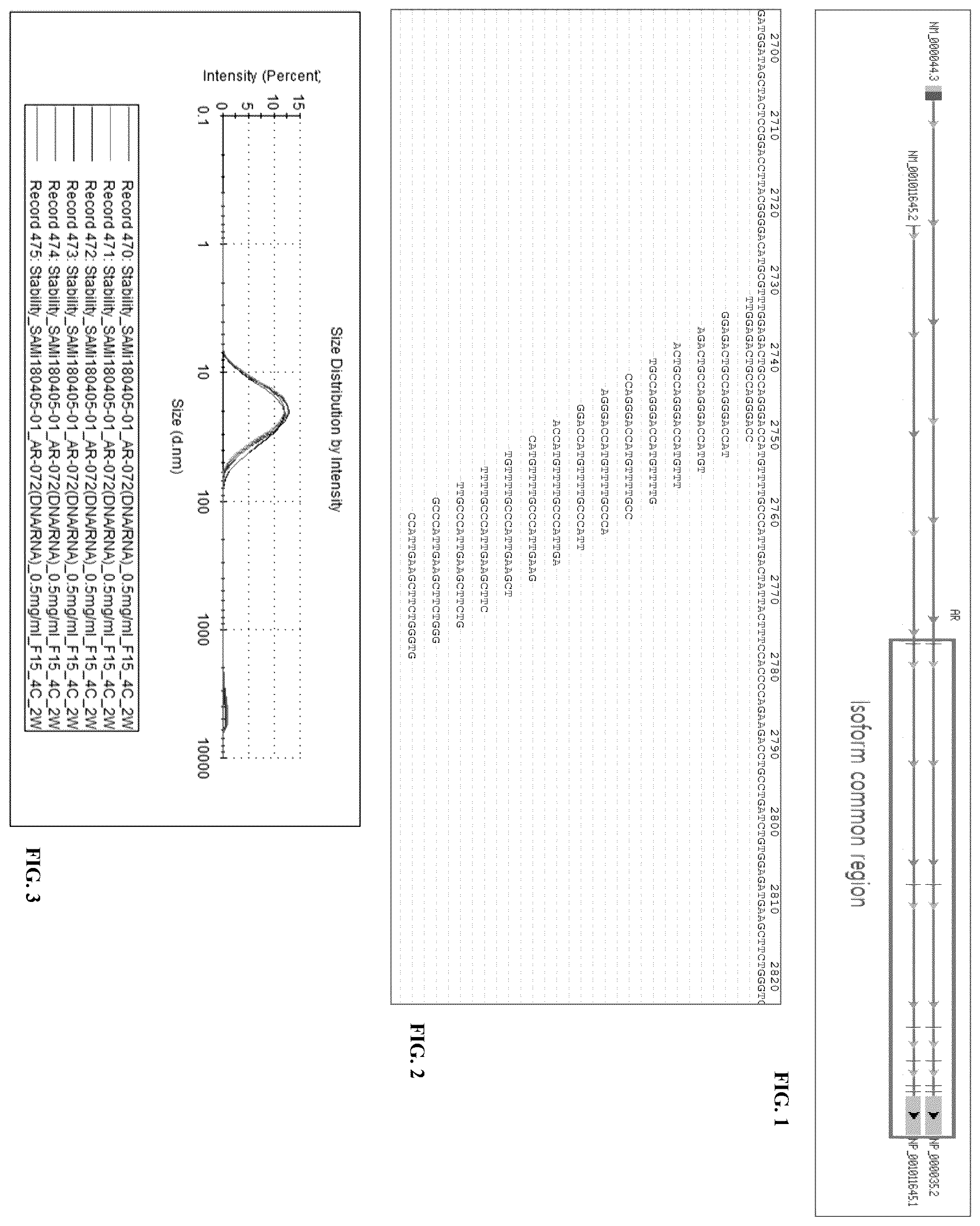 Patent US12569561 Figure 1 – Double stranded oligonucleotide construct comprising androgen receptor specific sequence, and composition for preventing hair loss and promoting hair growth comprising same