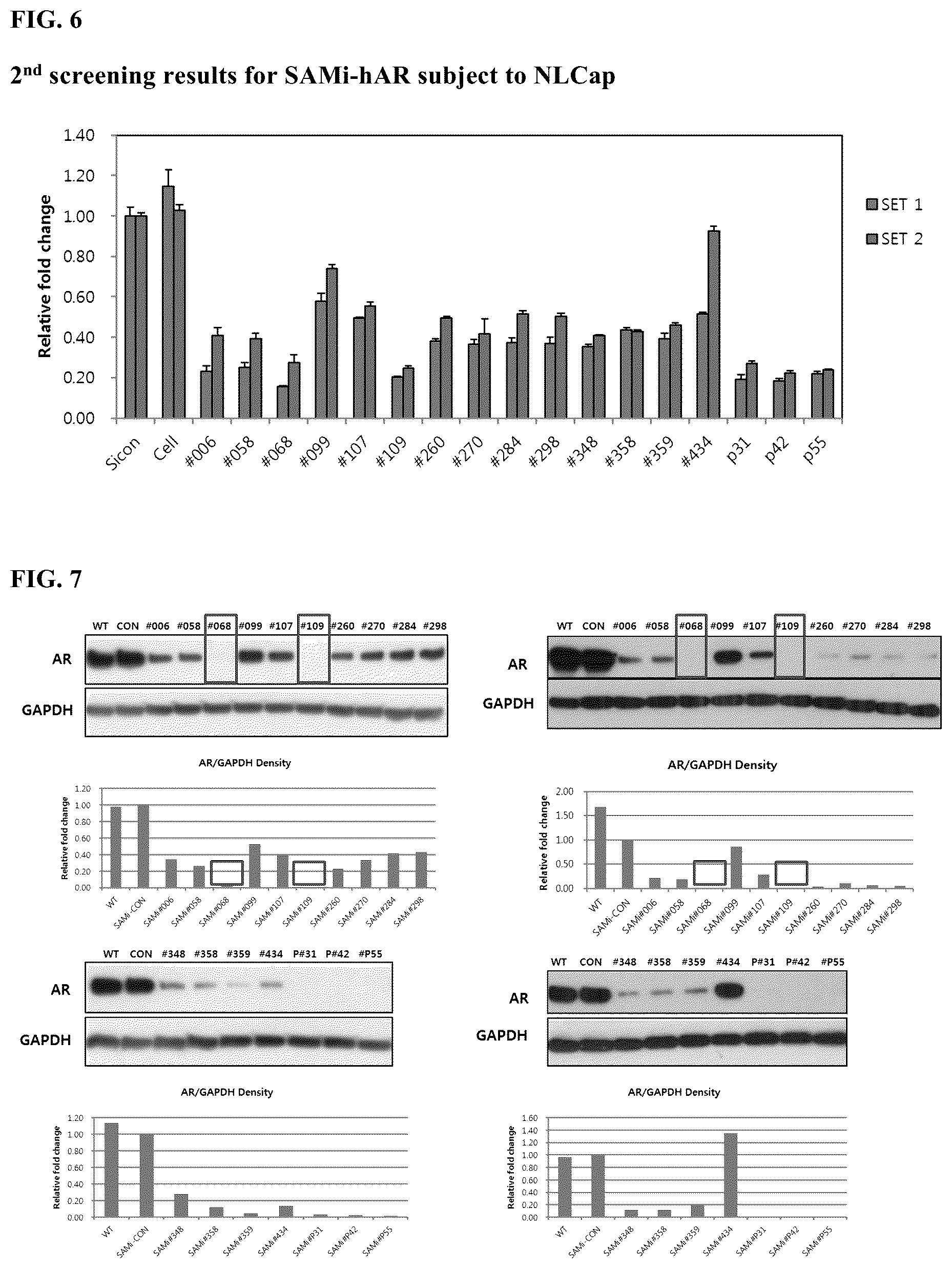 Patent US12569561 Figure 3 – Double stranded oligonucleotide construct comprising androgen receptor specific sequence, and composition for preventing hair loss and promoting hair growth comprising same