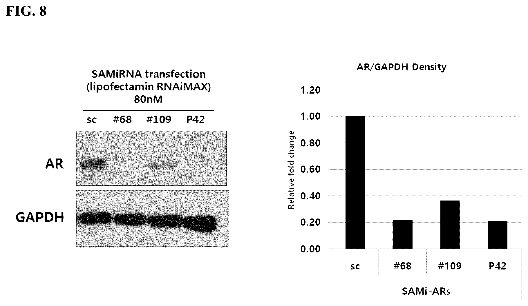 Patent US12569561 Figure 4 – Double stranded oligonucleotide construct comprising androgen receptor specific sequence, and composition for preventing hair loss and promoting hair growth comprising same
