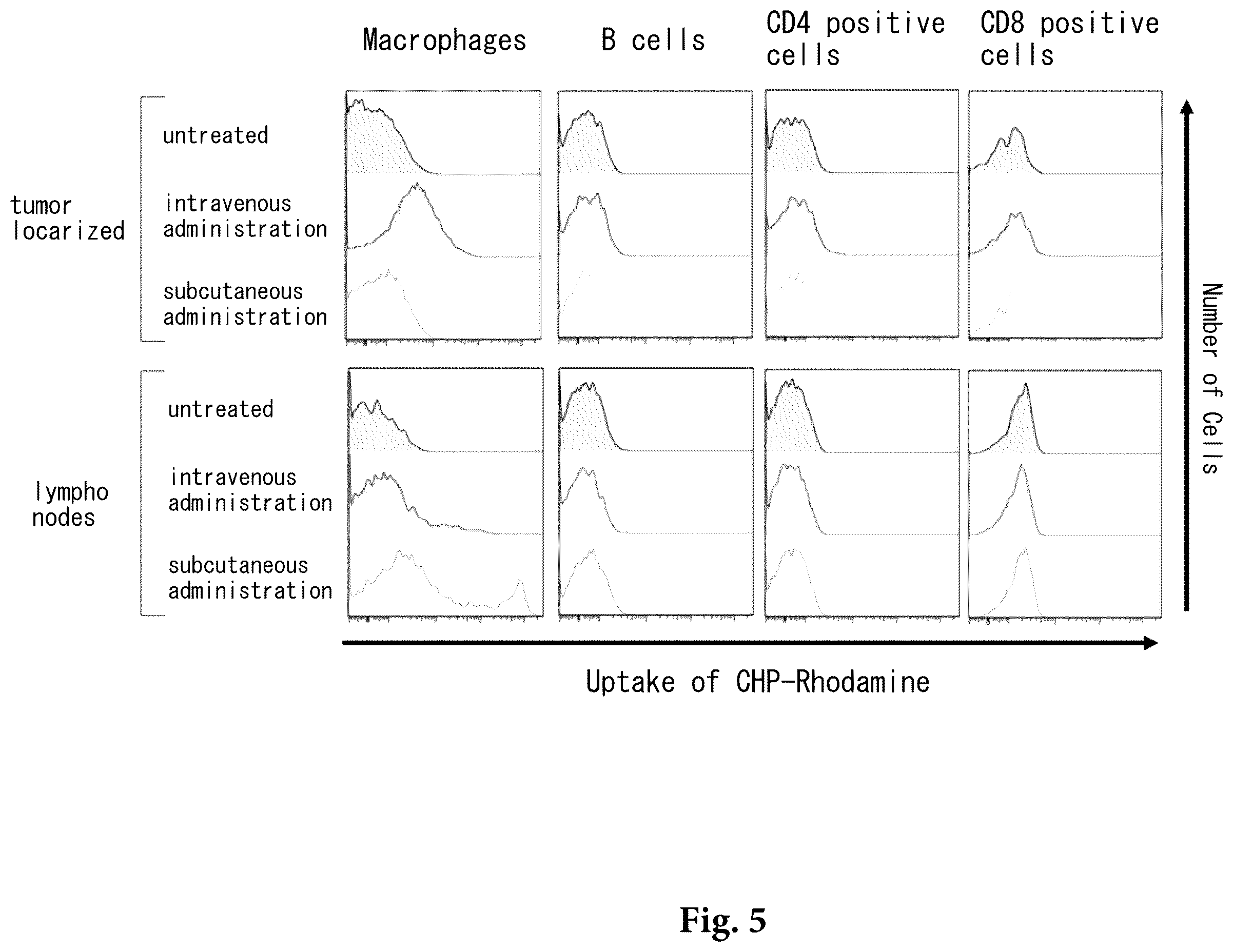 Patent US12569562 Figure 5 – Pretreatment drug for T cell infusion therapy for immune-checkpoint inhibitor-resistant tumor
