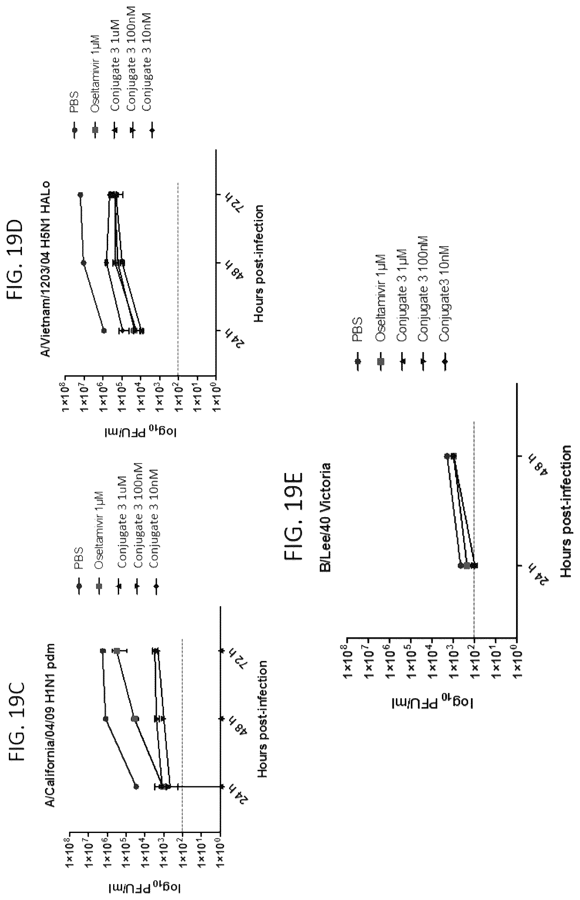 Patent US12569565 Figure 20 – Compositions and methods for the treatment of viral infections