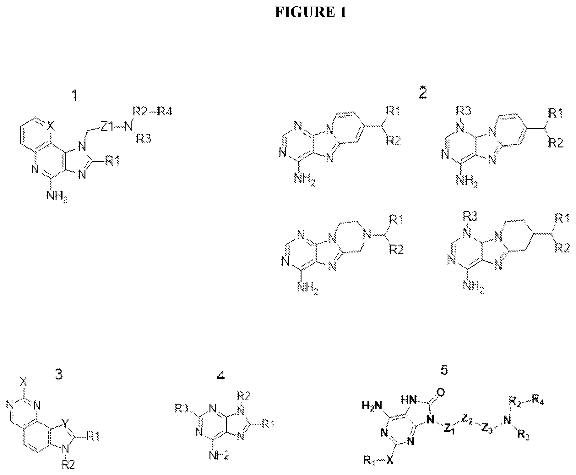 Patent US12569566 Figure 1 – Compositions containing, methods and uses of antibody-TLR agonist conjugates