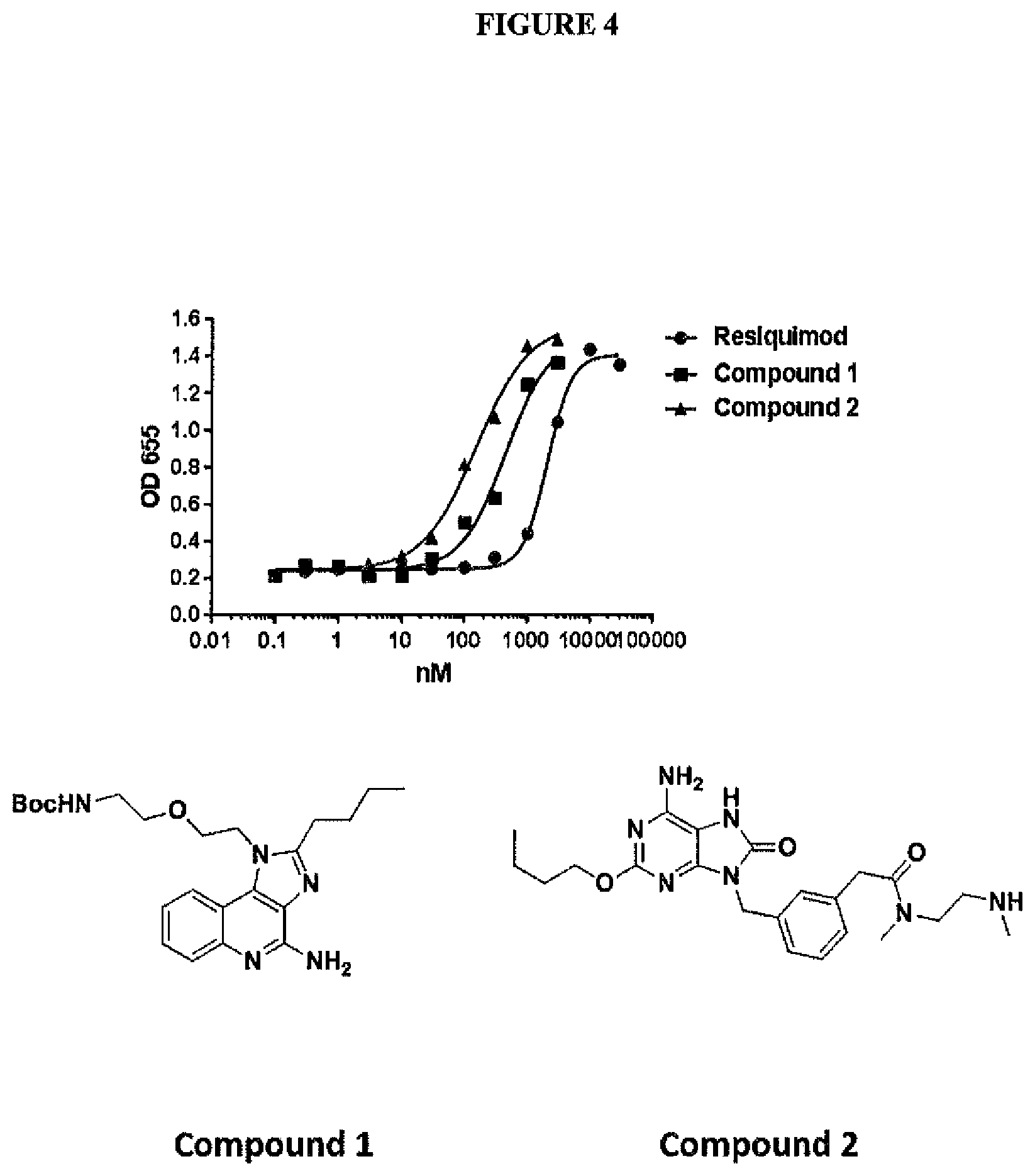 Patent US12569566 Figure 4 – Compositions containing, methods and uses of antibody-TLR agonist conjugates