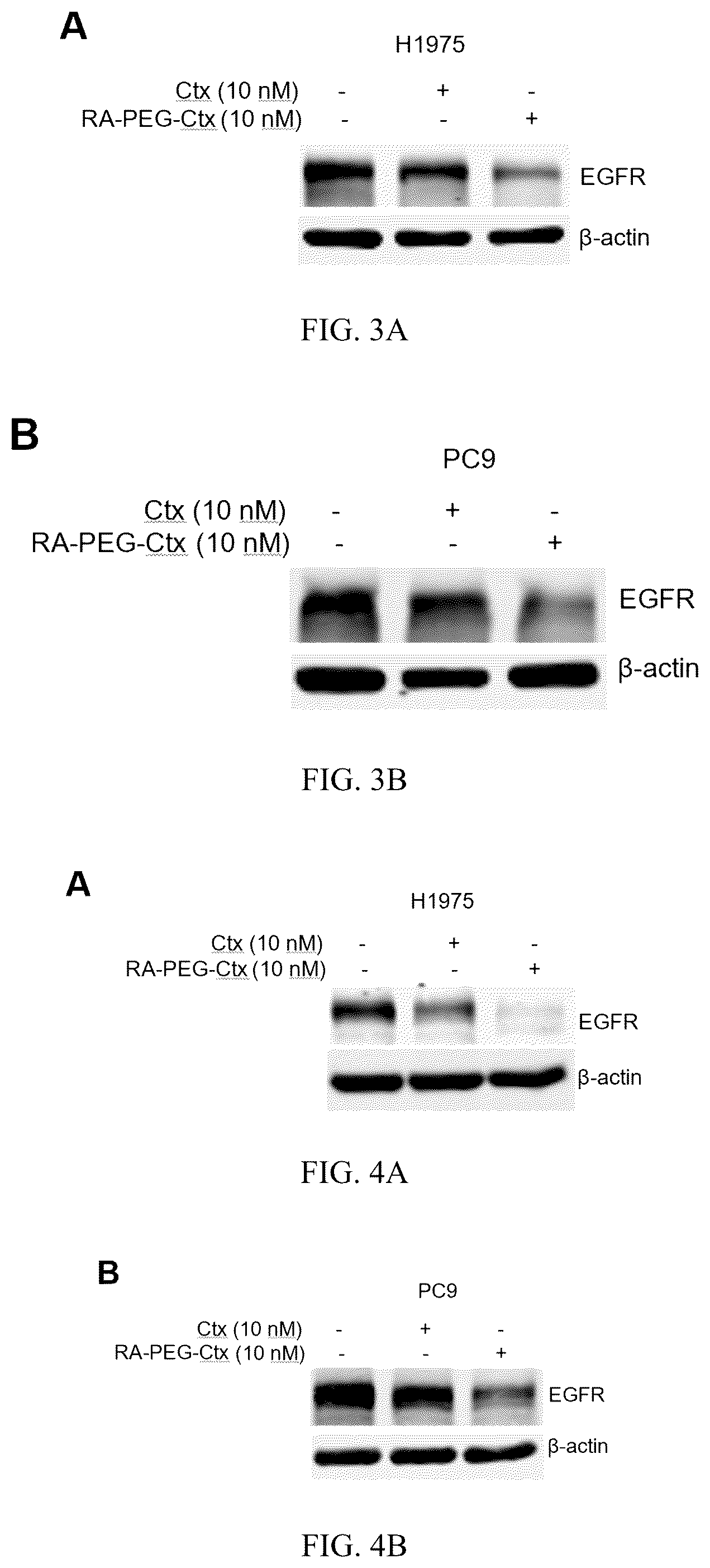 Patent US12569567 Figure 2 – Retinoic acid modified lysosome targeting chimera molecule, preparation method and applications thereof