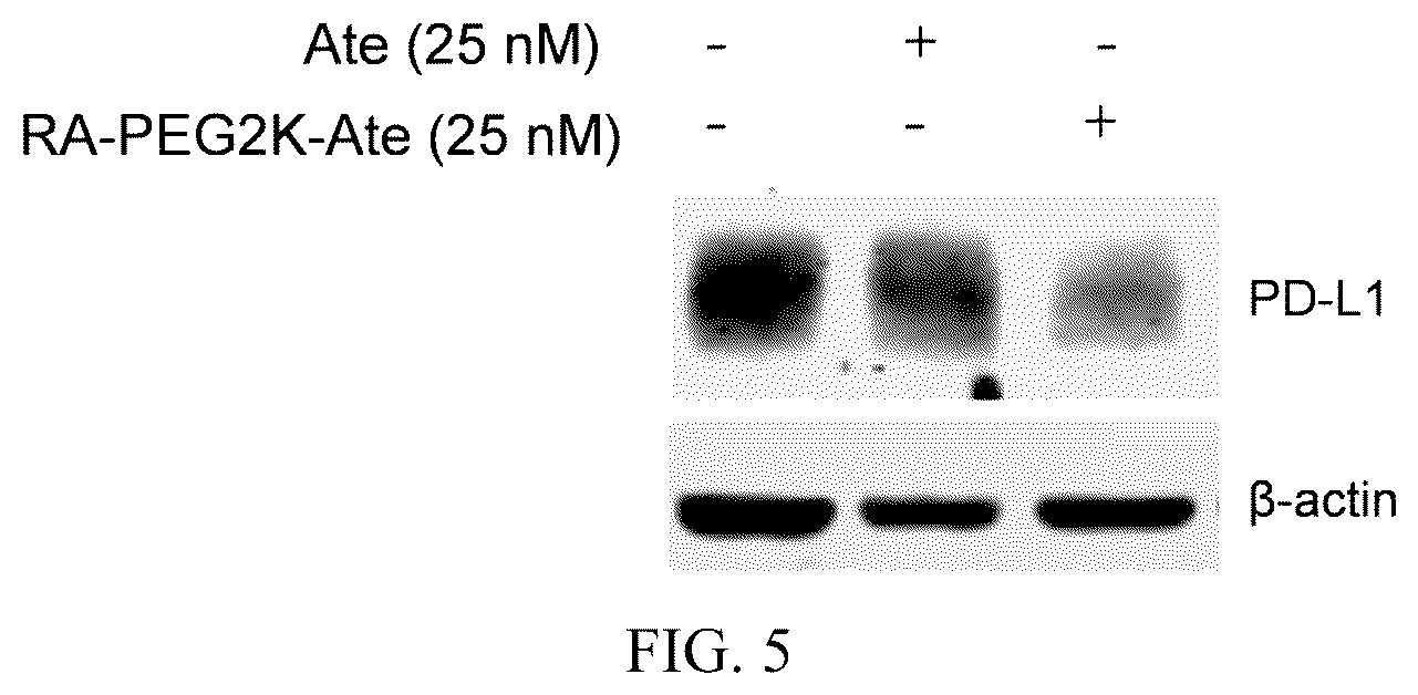 Patent US12569567 Figure 3 – Retinoic acid modified lysosome targeting chimera molecule, preparation method and applications thereof