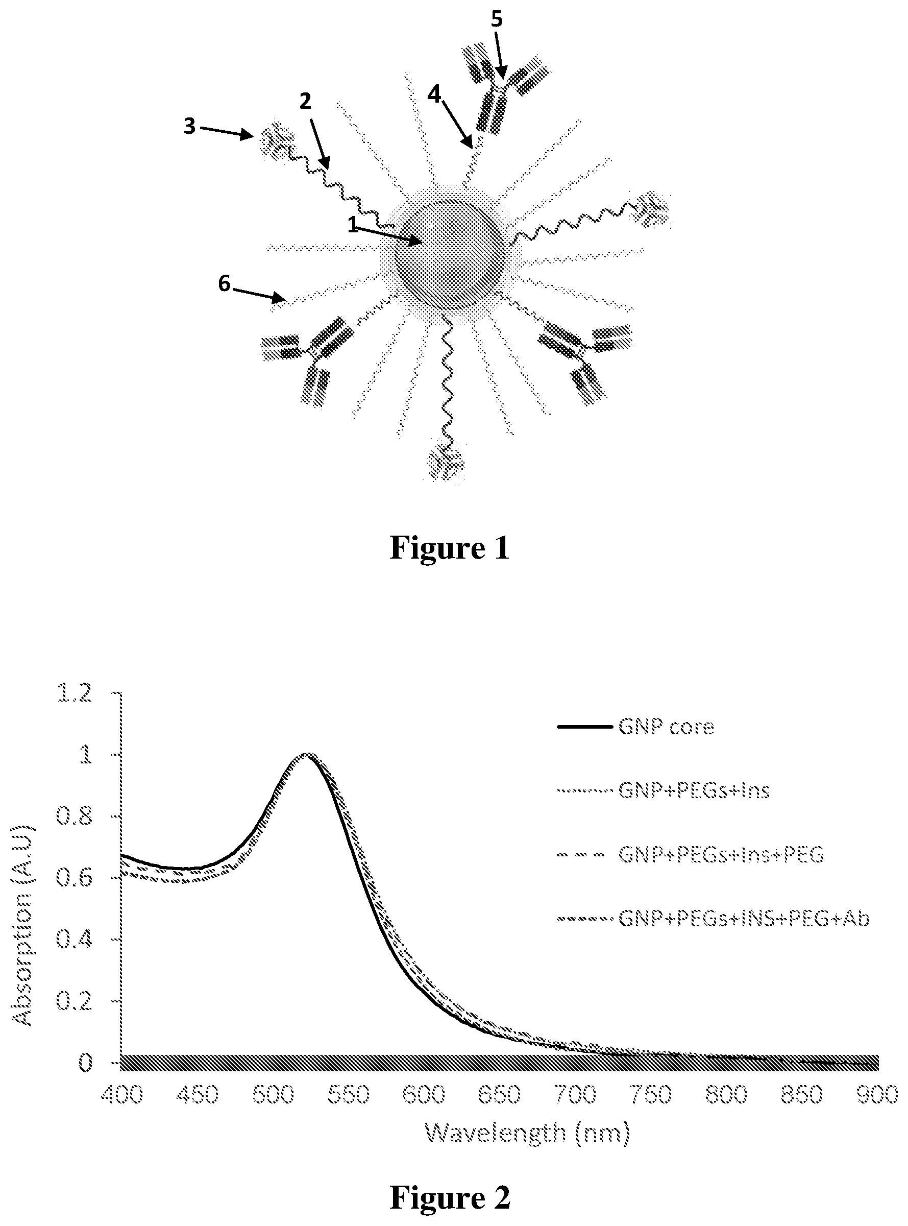 Patent US12569569 Figure 1 – Nano-delivery system and therapeutic and diagnostic use thereof