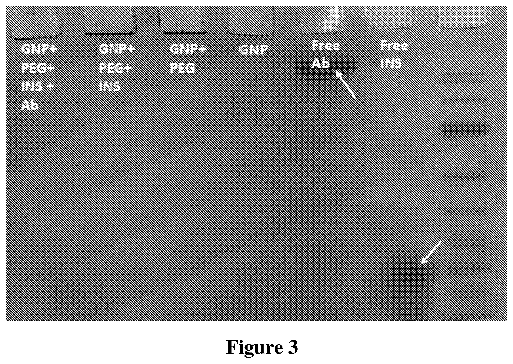 Patent US12569569 Figure 2 – Nano-delivery system and therapeutic and diagnostic use thereof