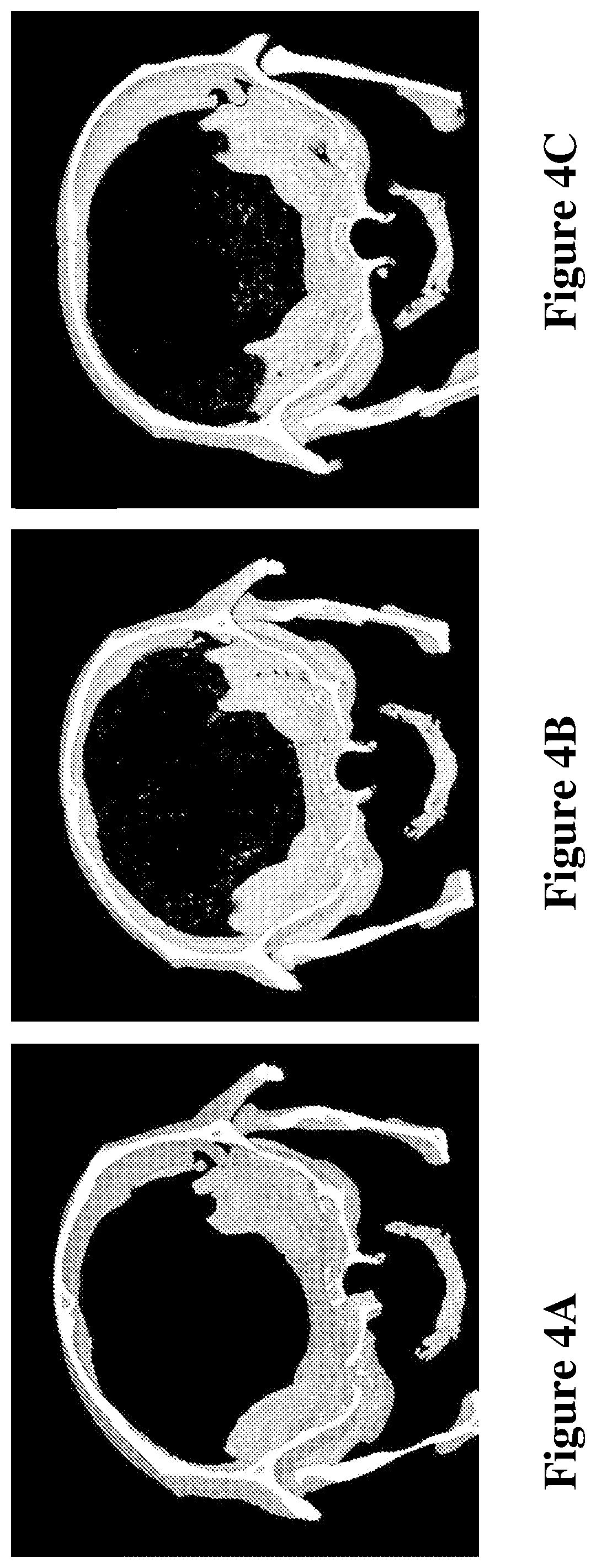 Patent US12569569 Figure 3 – Nano-delivery system and therapeutic and diagnostic use thereof