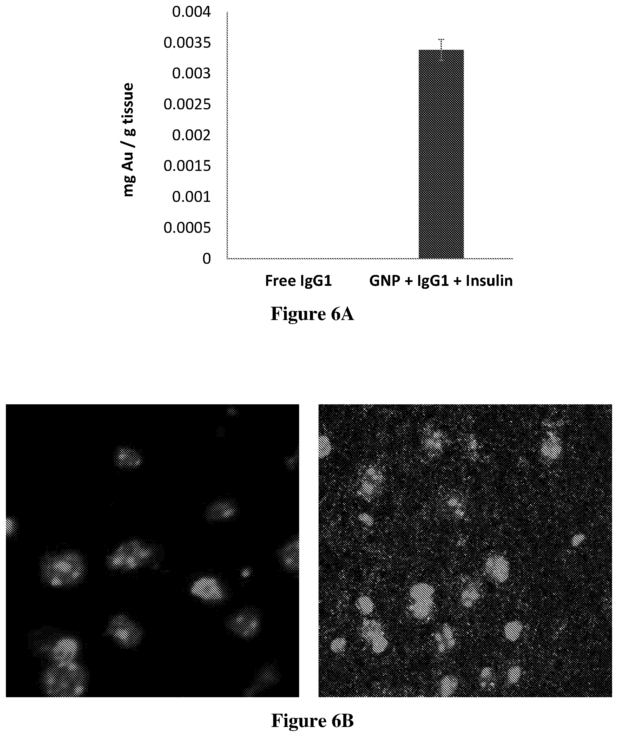 Patent US12569569 Figure 5 – Nano-delivery system and therapeutic and diagnostic use thereof