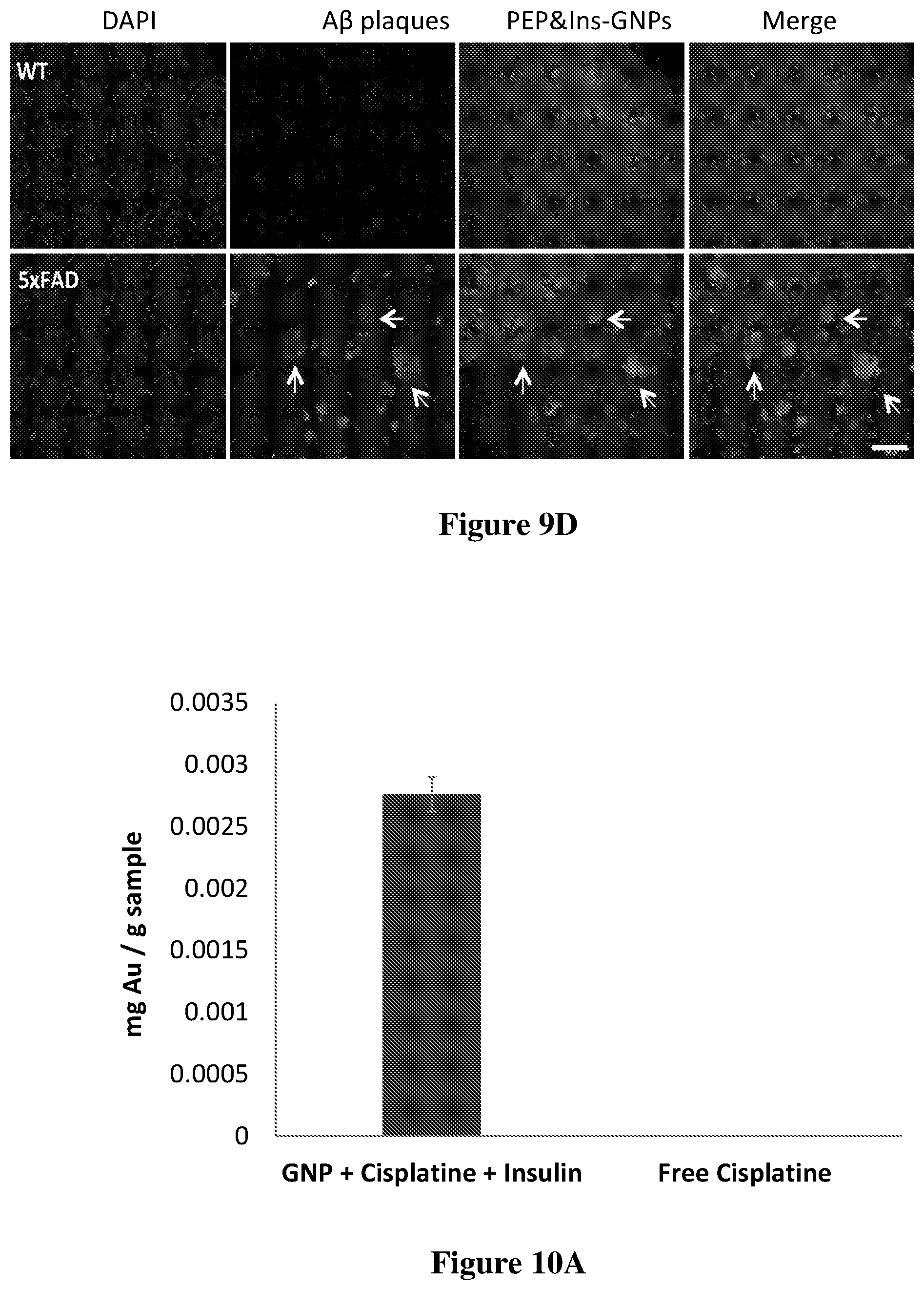 Patent US12569569 Figure 9 – Nano-delivery system and therapeutic and diagnostic use thereof