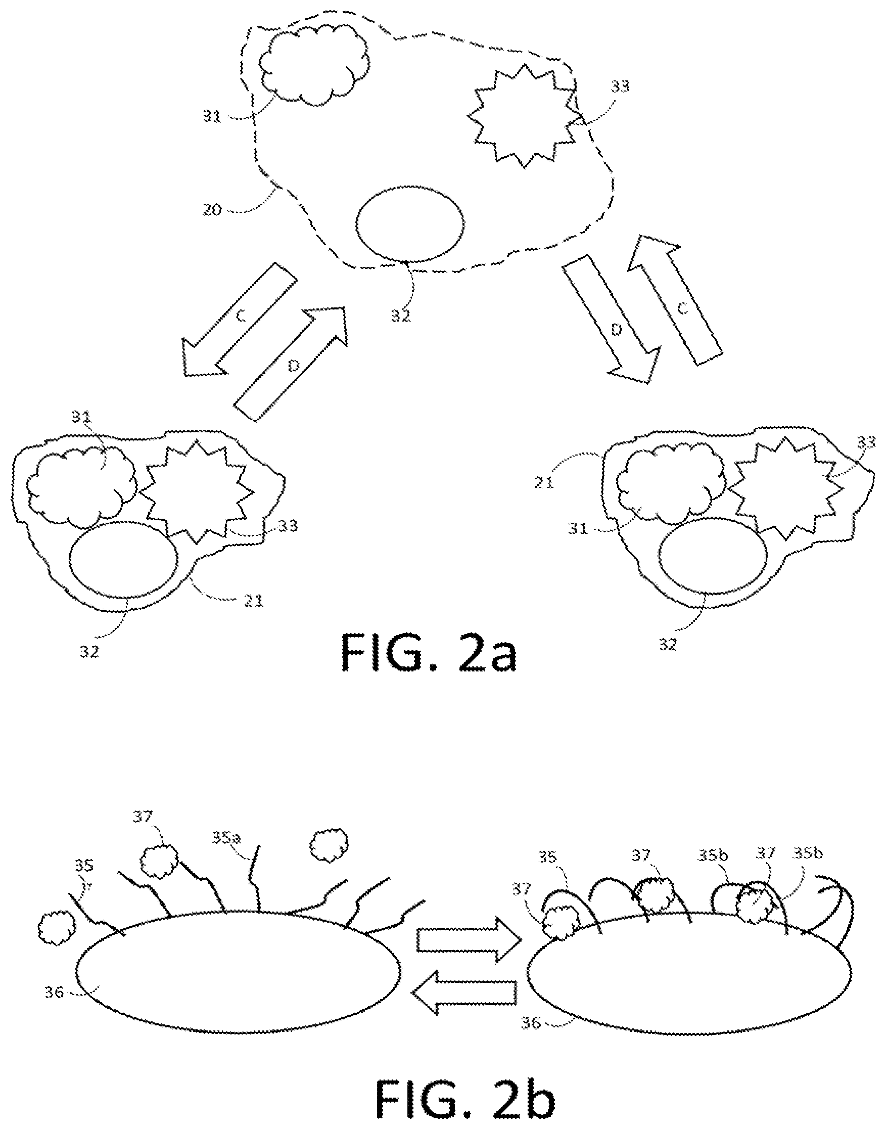 Patent US12569571 Figure 2 – Salt responsive nanogels and nanoparticles