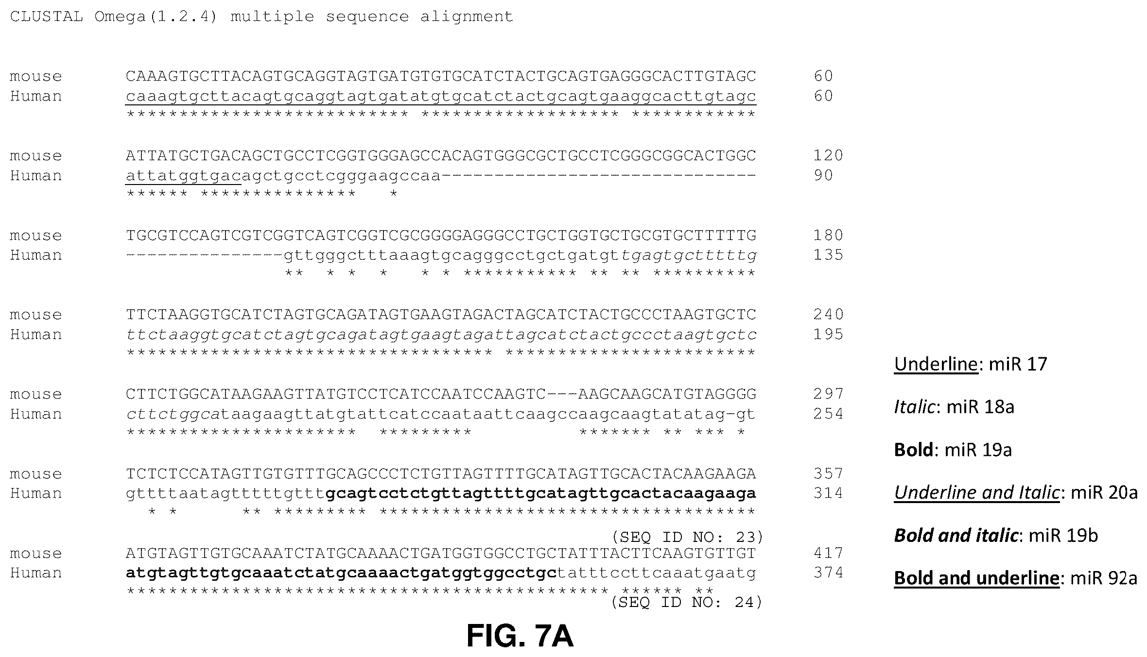 Patent US12569573 Figure 11 – Enhanced transduction of AAV vectors encoding micrornas