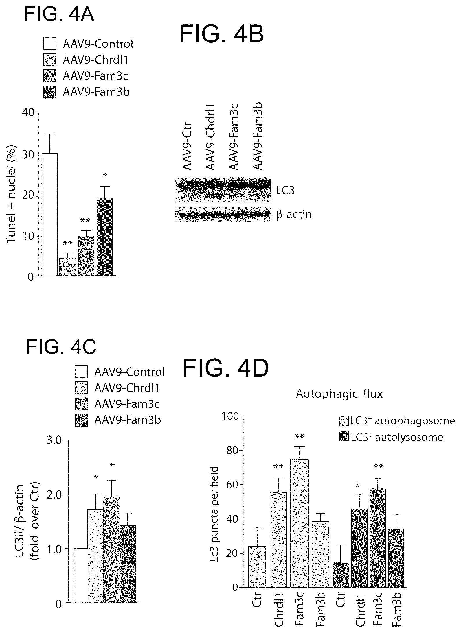 Patent US12569574 Figure 6 – Proteins with cardioprotective activity