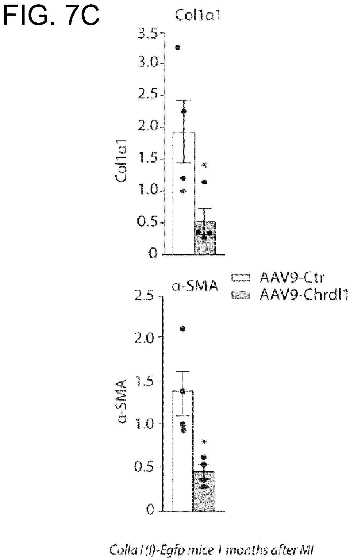 Patent US12569574 Figure 11 – Proteins with cardioprotective activity