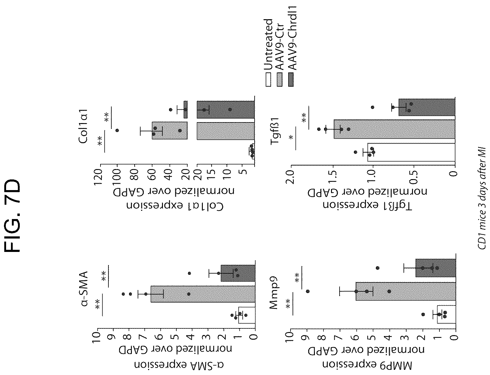 Patent US12569574 Figure 12 – Proteins with cardioprotective activity