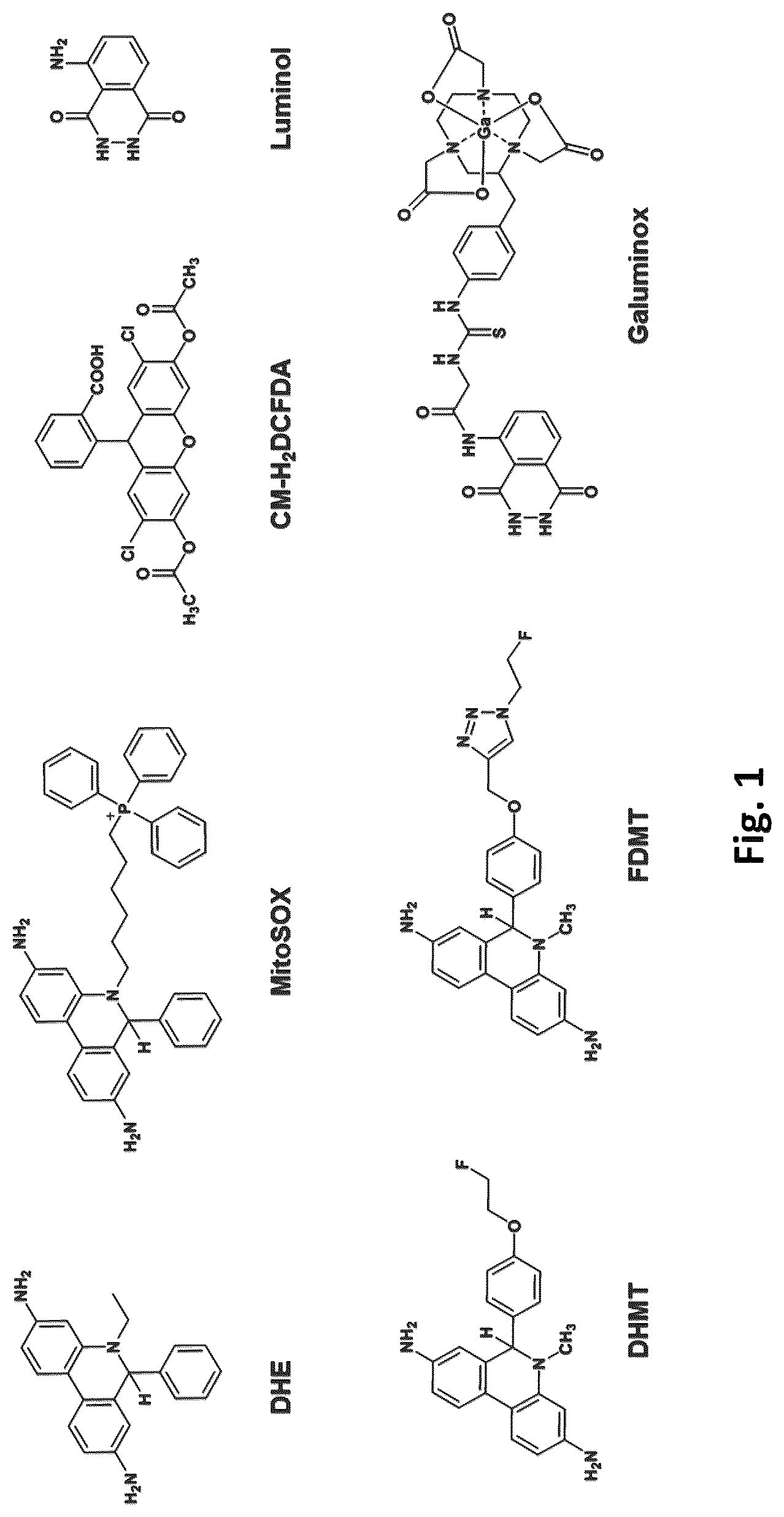 Patent US12569576 Figure 1 – Compositions and methods for measuring oxidative stress