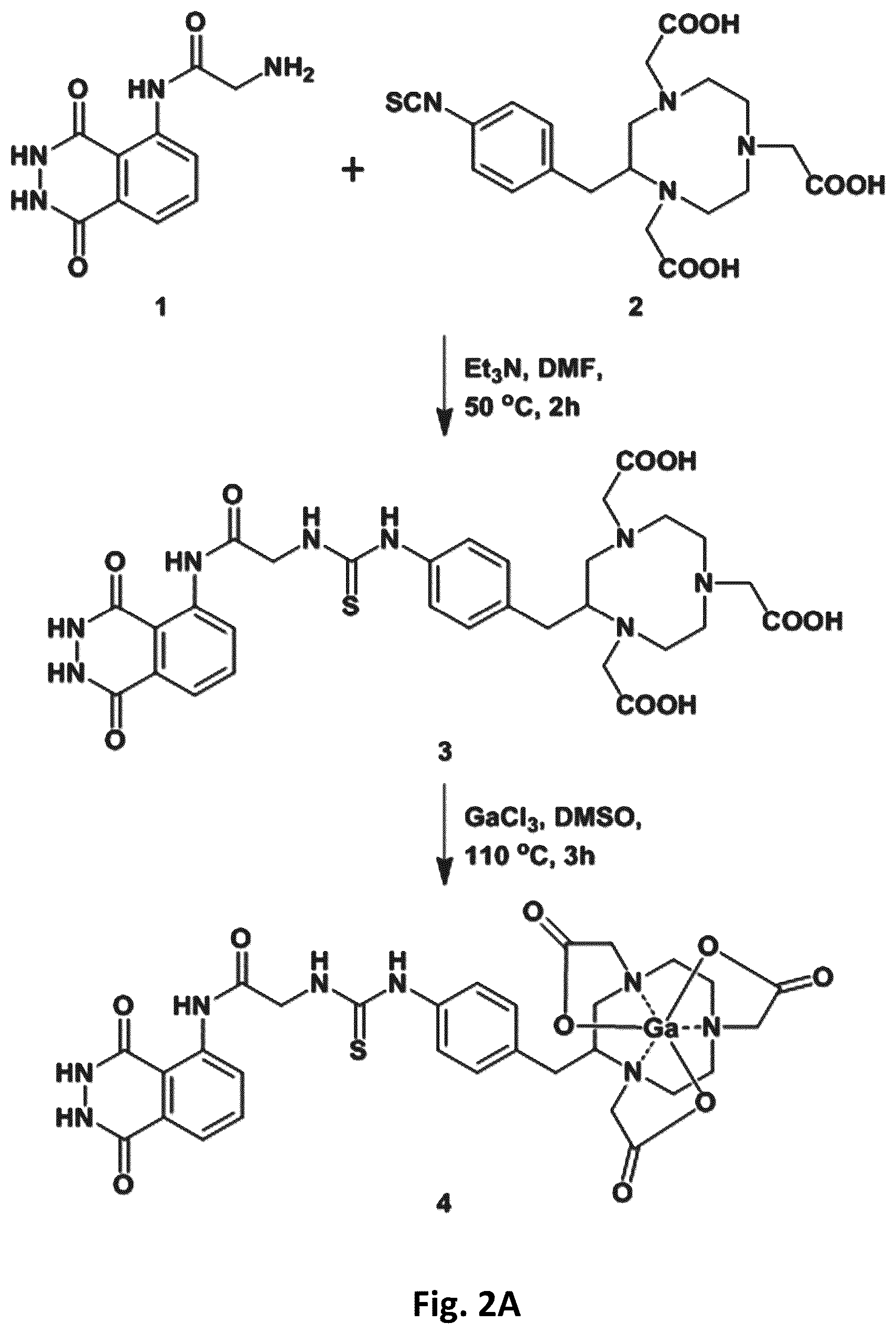 Patent US12569576 Figure 2 – Compositions and methods for measuring oxidative stress
