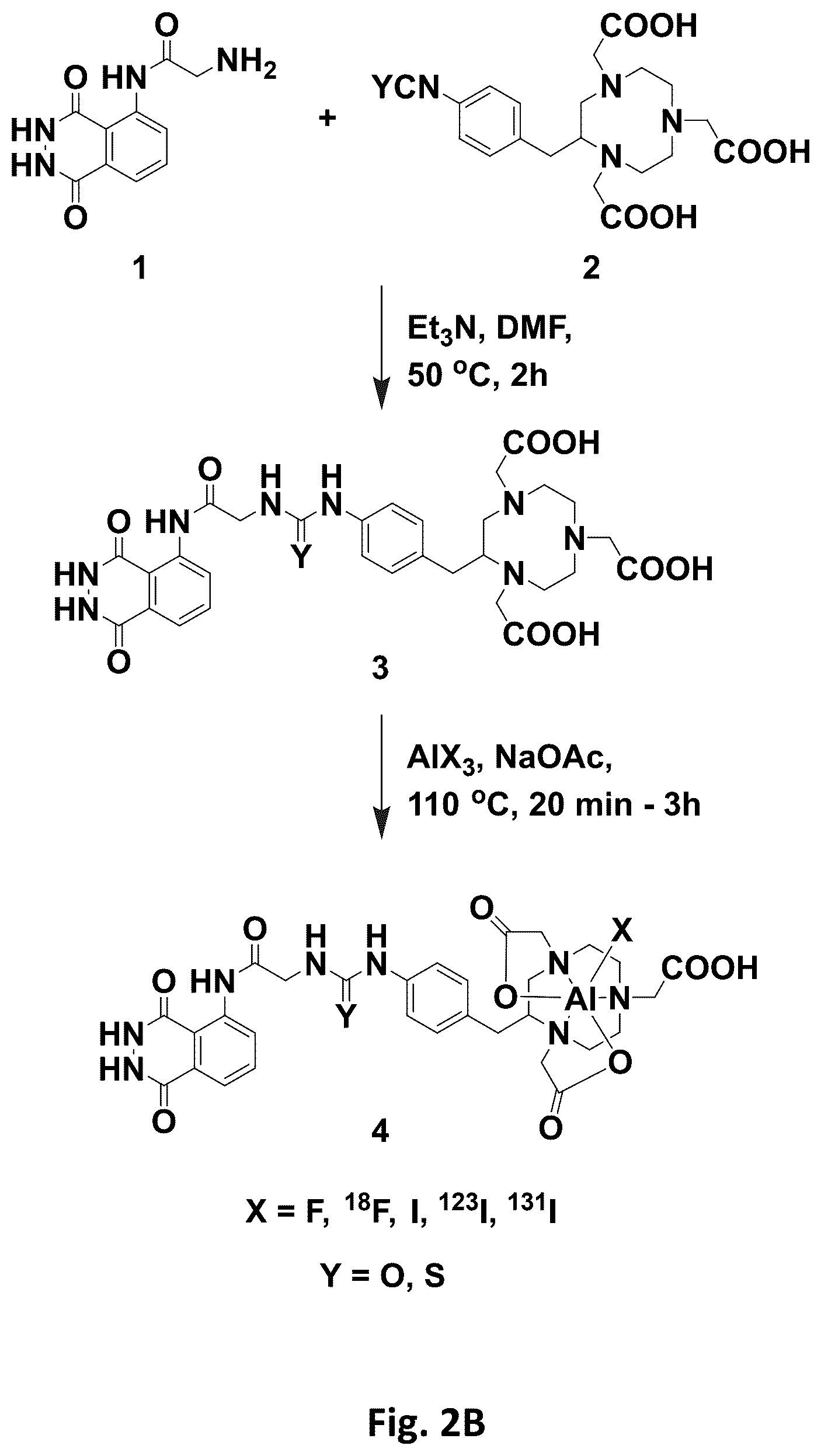 Patent US12569576 Figure 3 – Compositions and methods for measuring oxidative stress