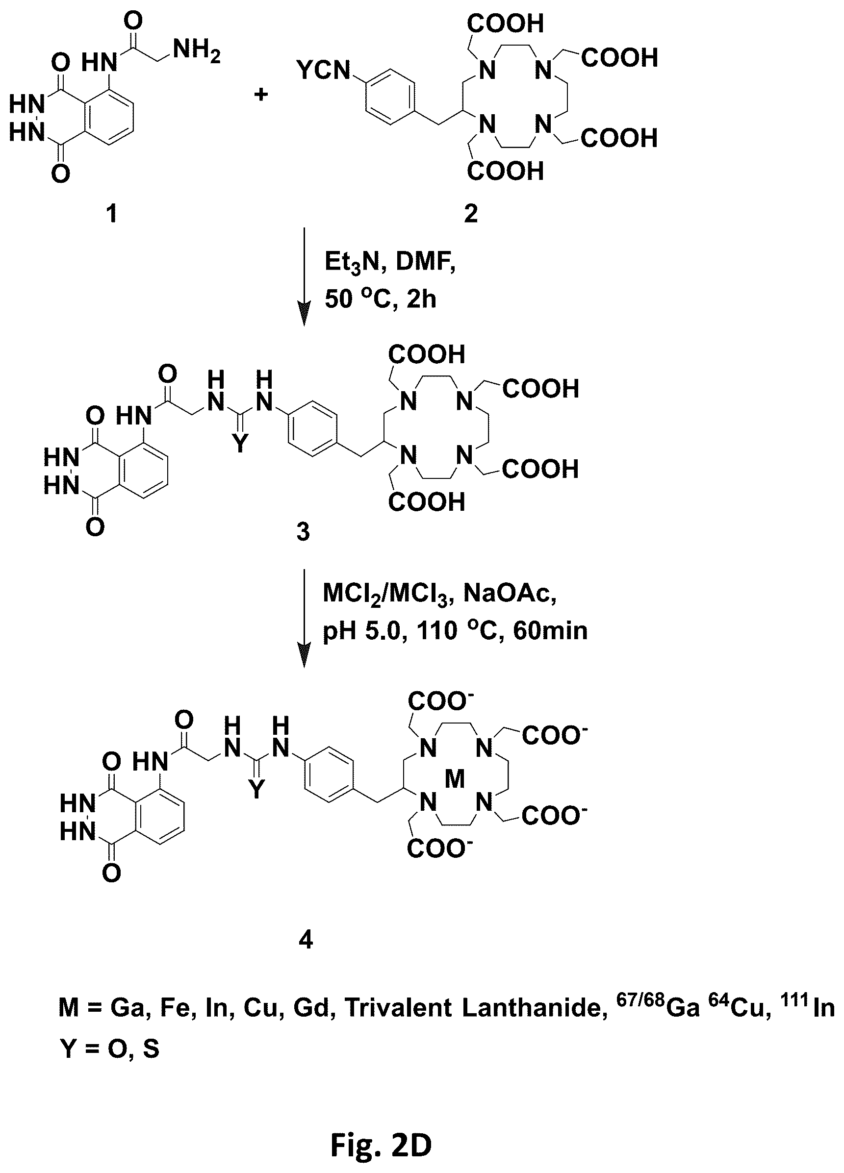 Patent US12569576 Figure 5 – Compositions and methods for measuring oxidative stress