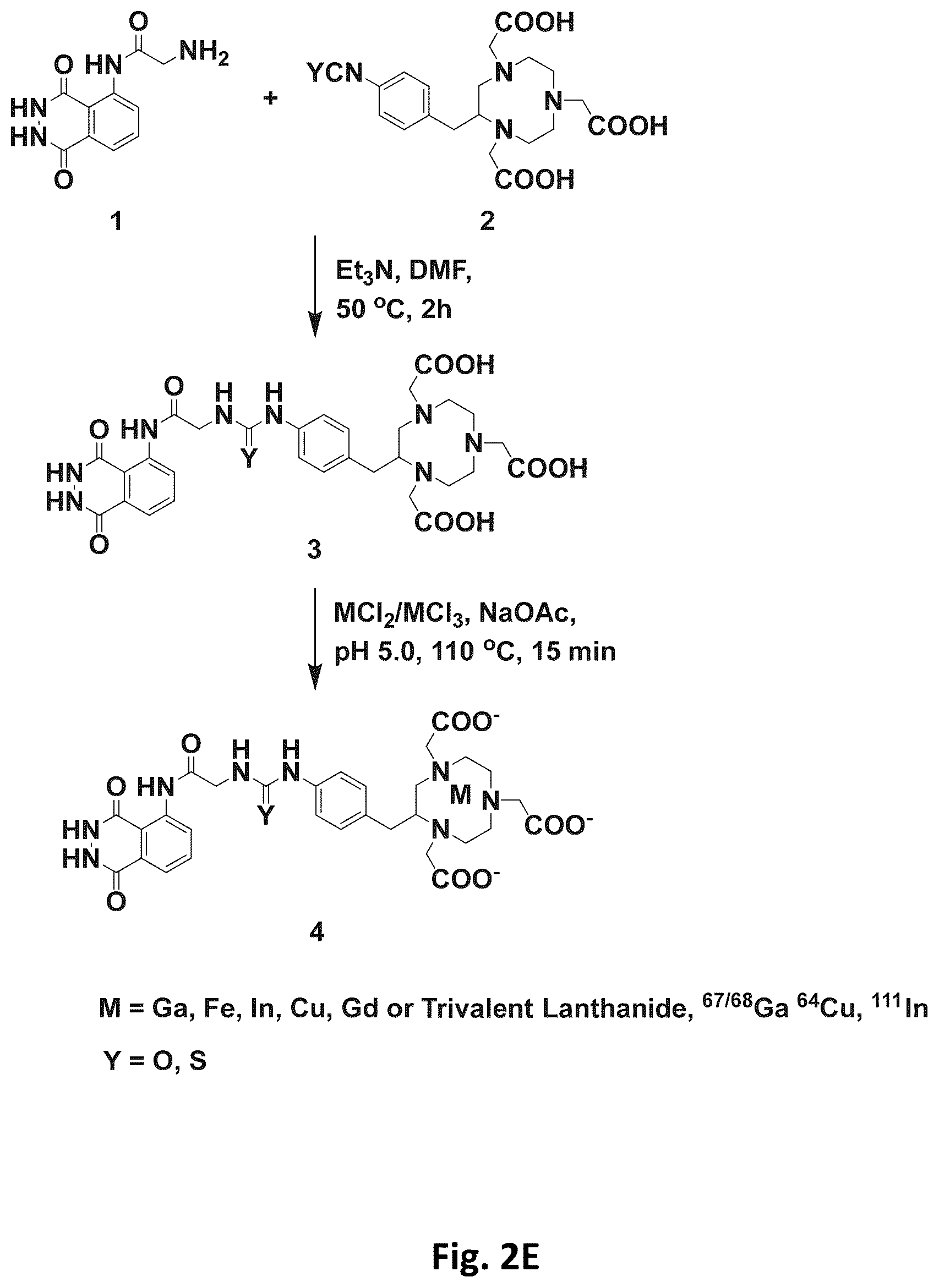 Patent US12569576 Figure 6 – Compositions and methods for measuring oxidative stress