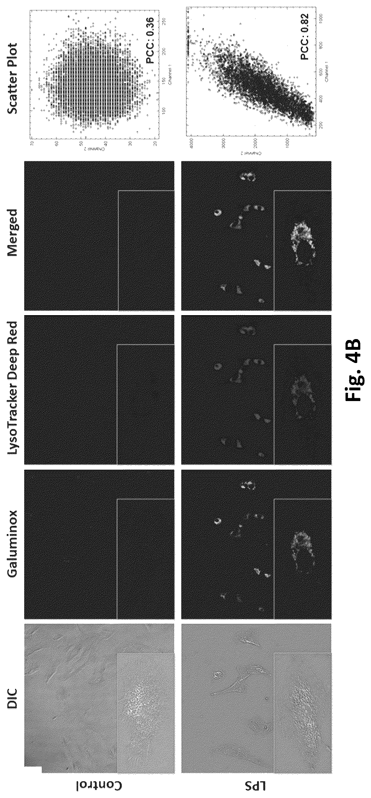 Patent US12569576 Figure 9 – Compositions and methods for measuring oxidative stress