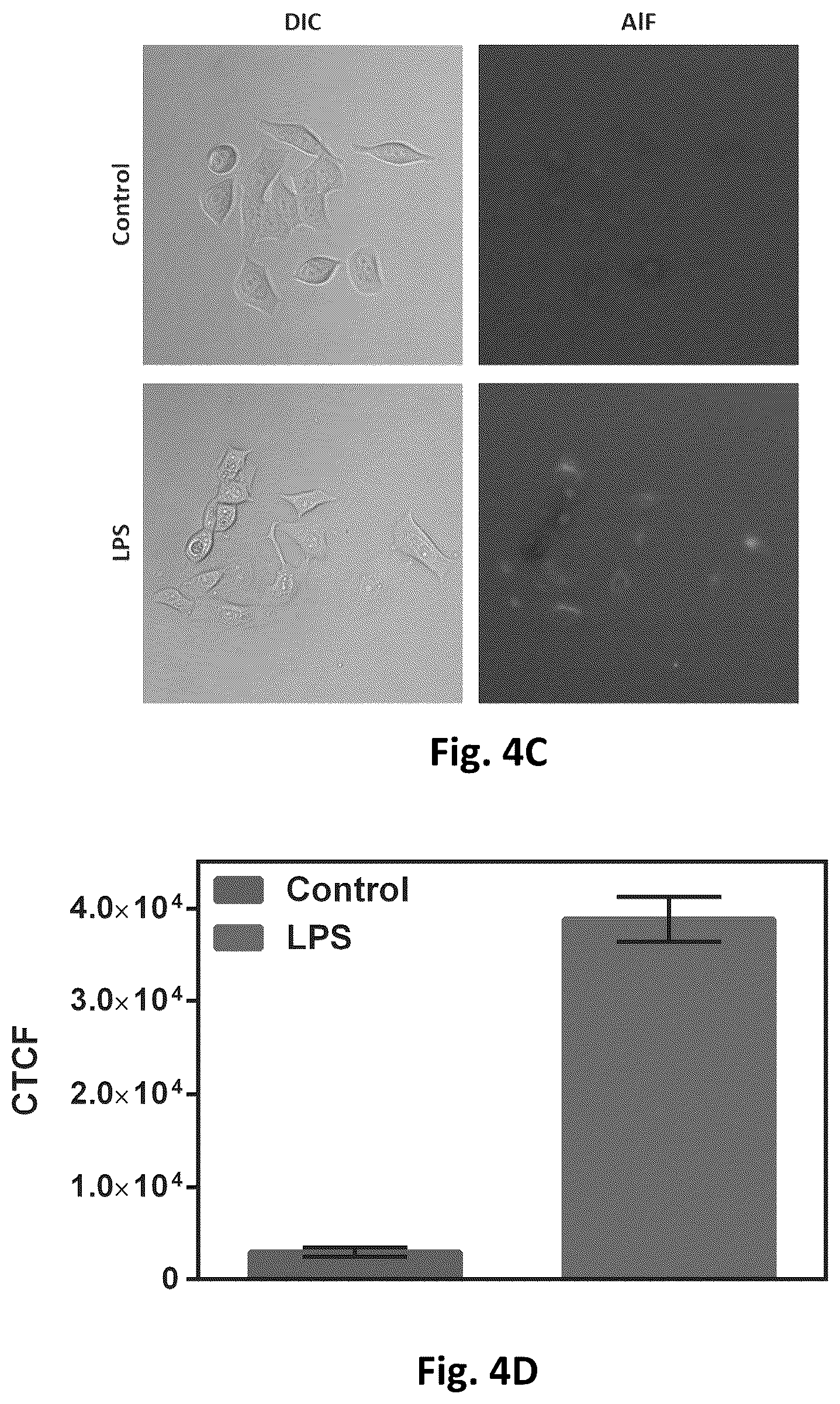 Patent US12569576 Figure 10 – Compositions and methods for measuring oxidative stress