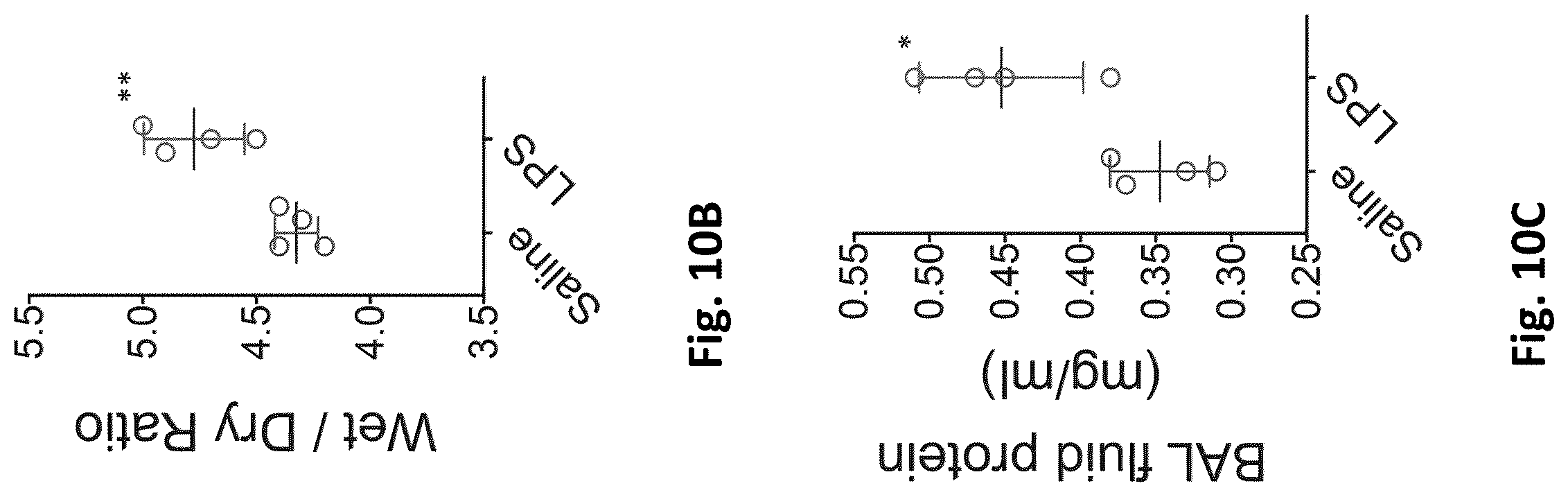 Patent US12569576 Figure 19 – Compositions and methods for measuring oxidative stress