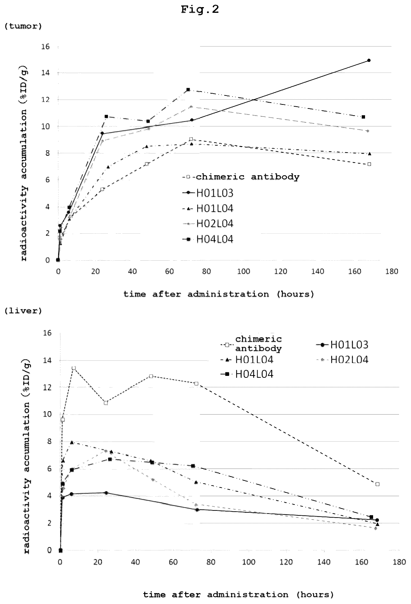Patent US12569578 Figure 2 – RI-labeled humanized antibody