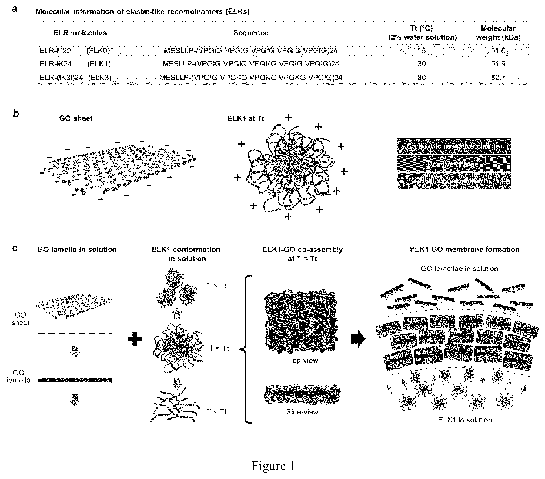 Patent US12569588 Figure 1 – Self-assembling graphene oxide-protein matrix