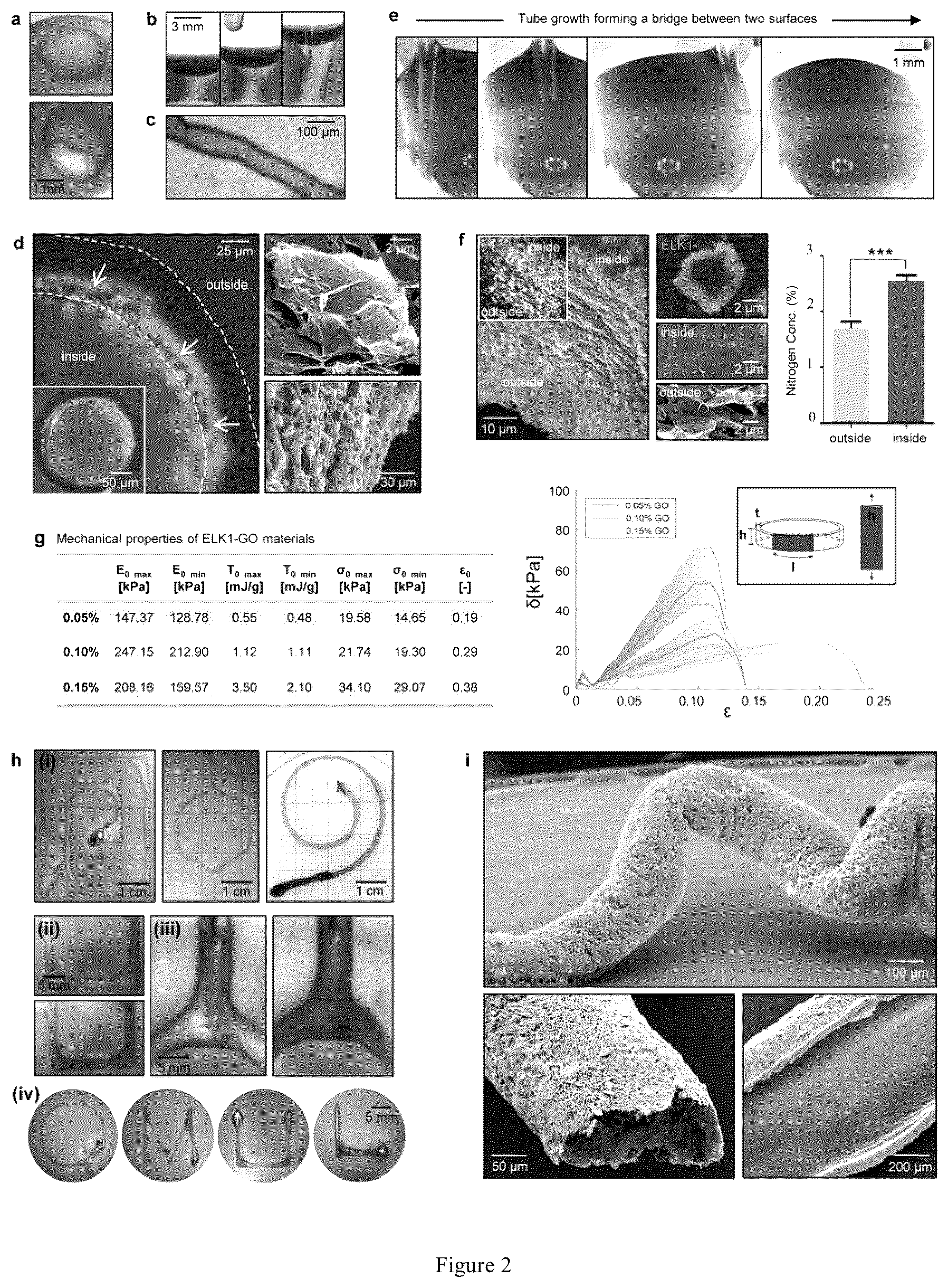 Patent US12569588 Figure 2 – Self-assembling graphene oxide-protein matrix