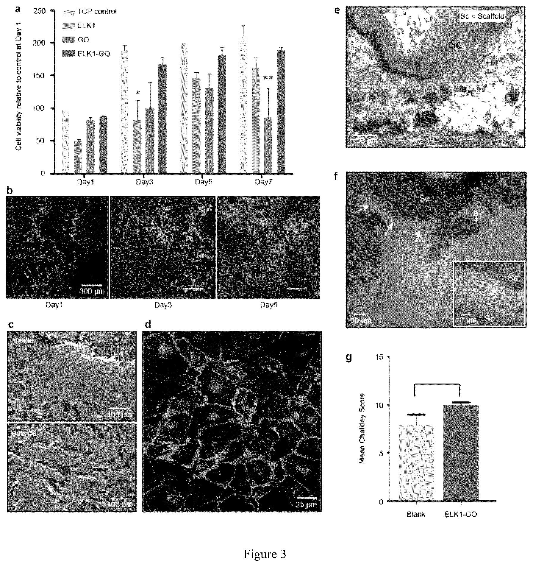 Patent US12569588 Figure 3 – Self-assembling graphene oxide-protein matrix