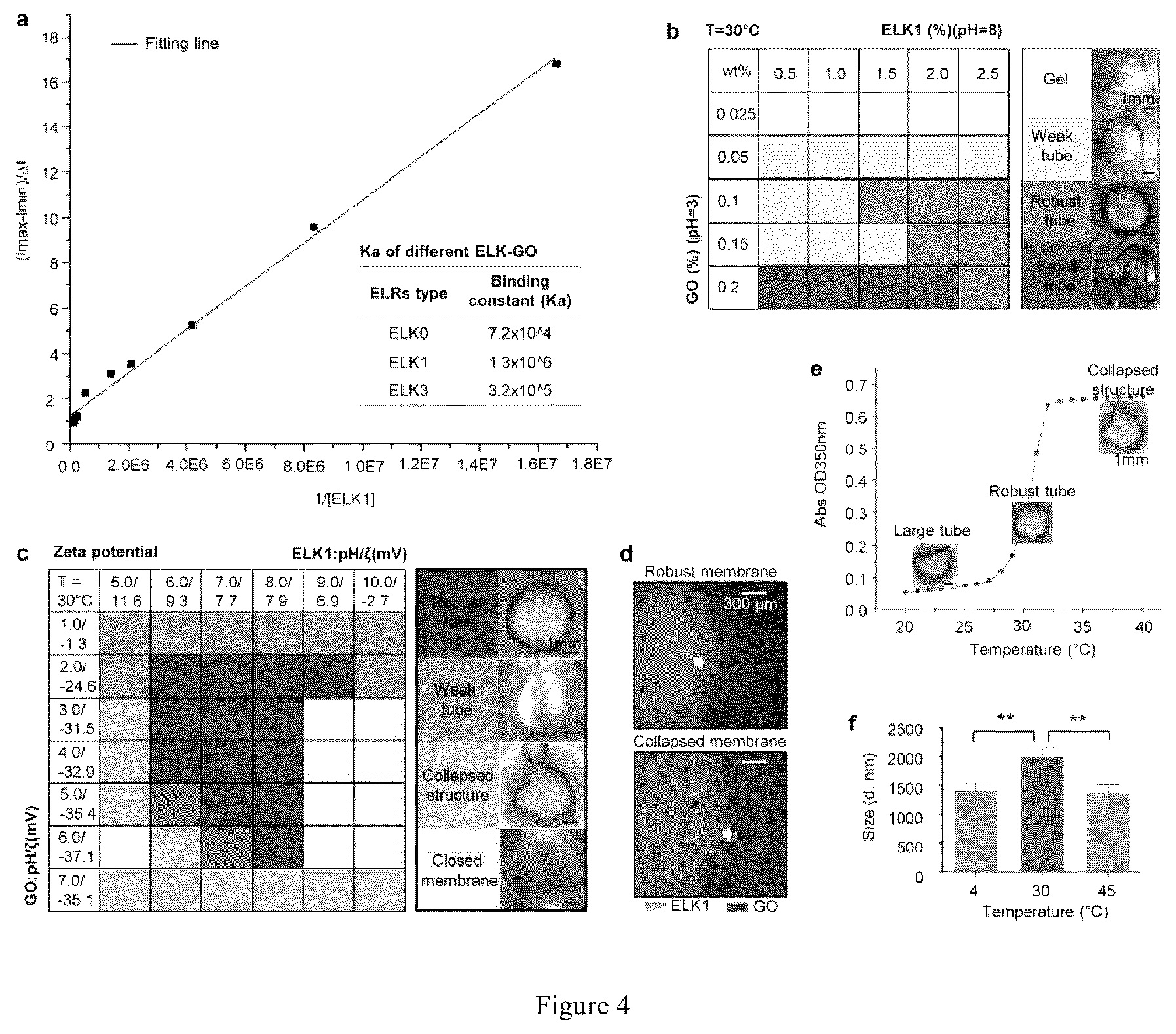 Patent US12569588 Figure 4 – Self-assembling graphene oxide-protein matrix