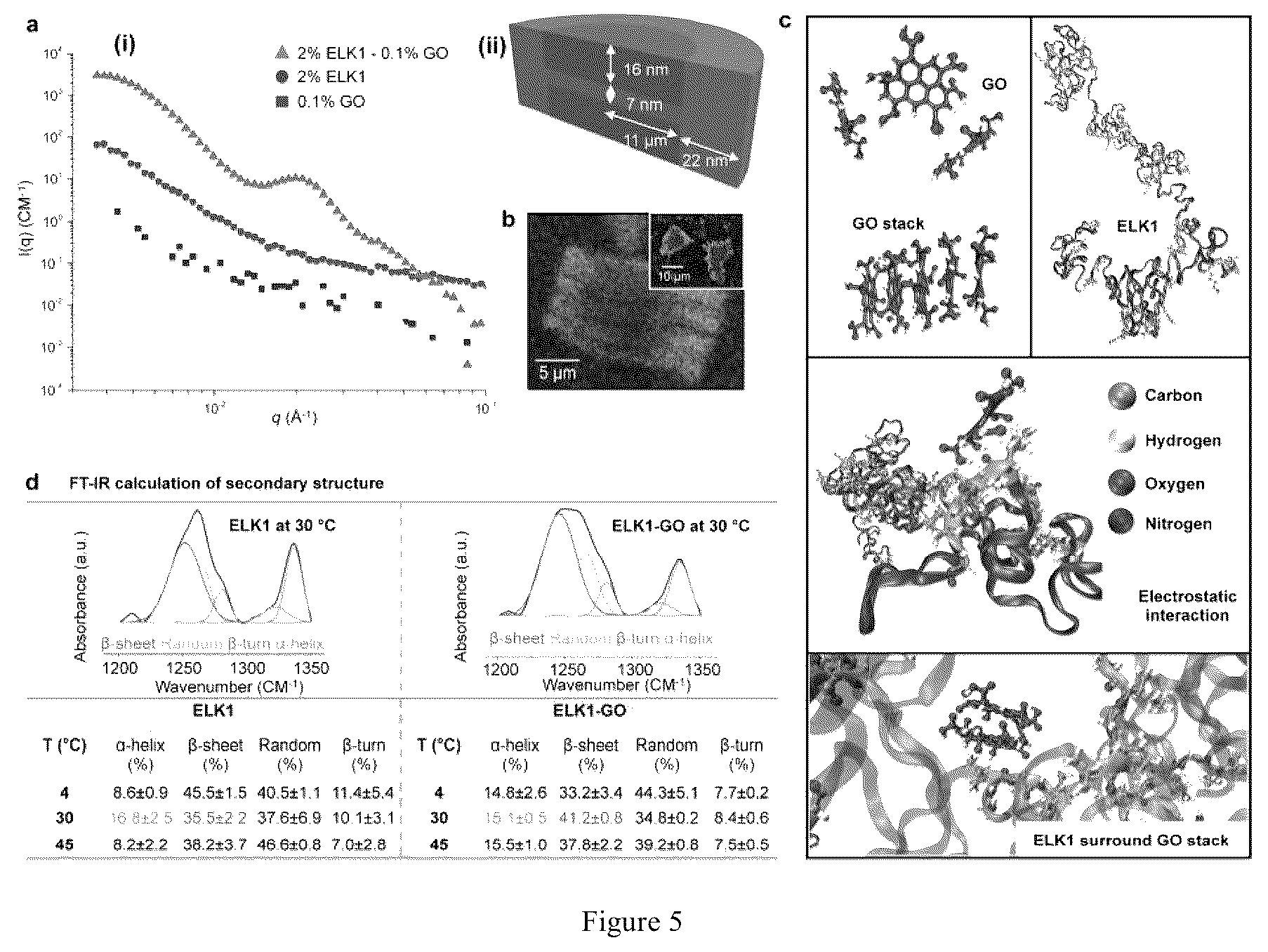 Patent US12569588 Figure 5 – Self-assembling graphene oxide-protein matrix